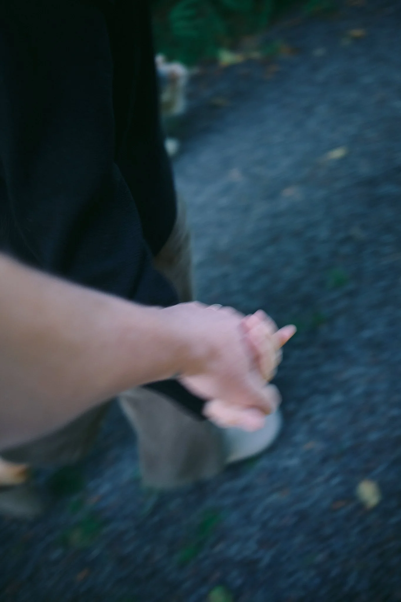 DSCF4957.jpg