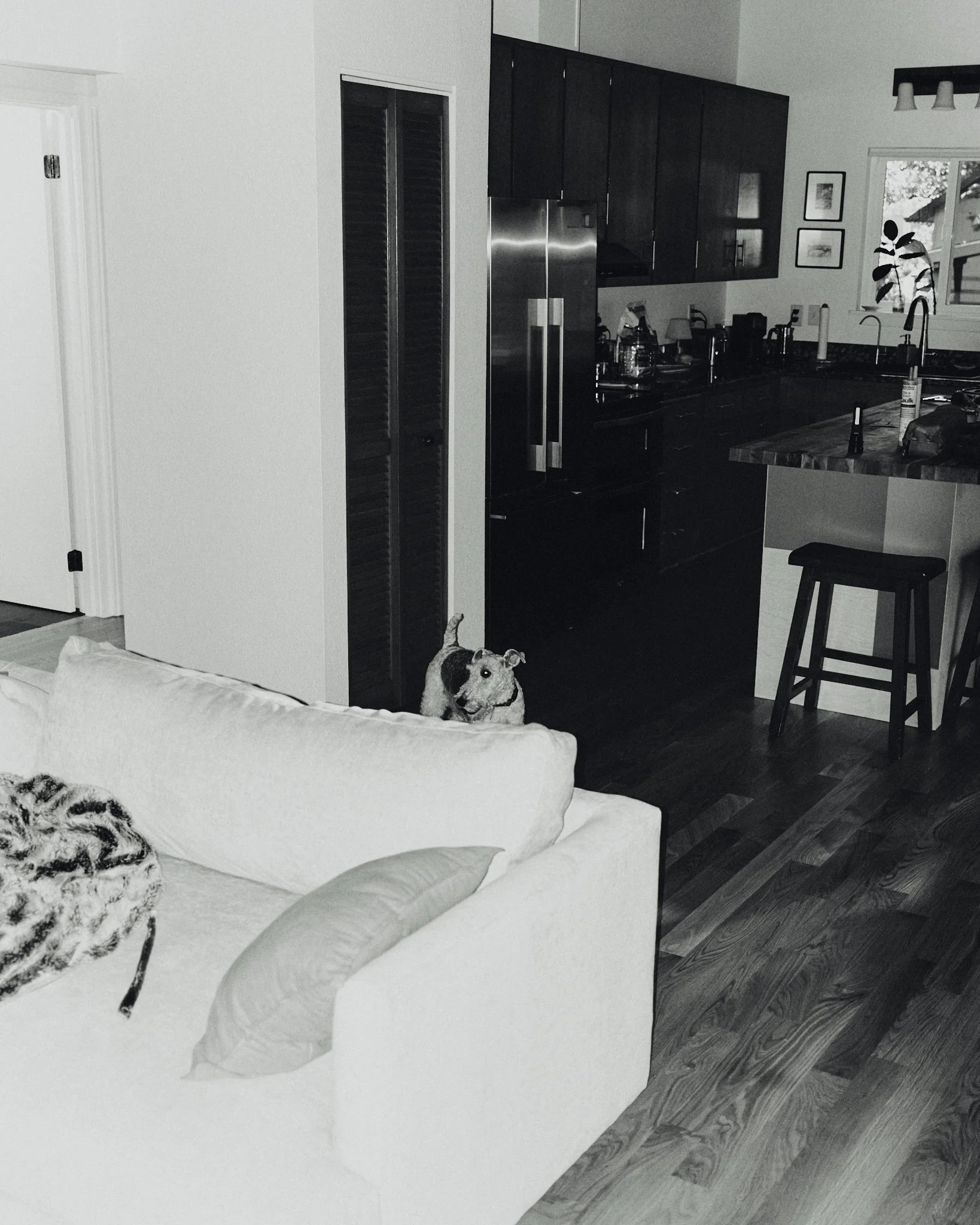 DSCF5781.jpg