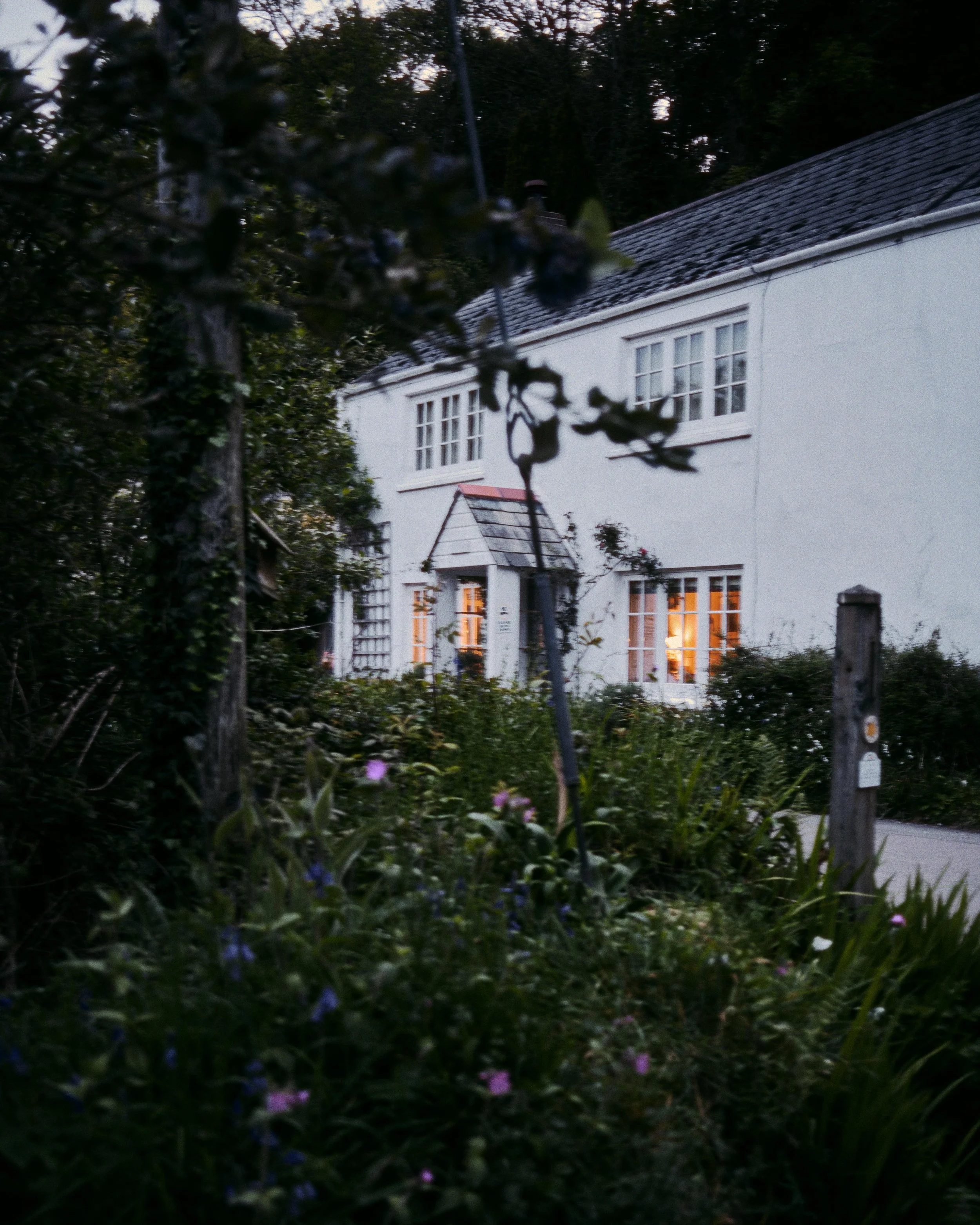 A white house with lit windows is seen through a garden with trees and colorful flowers at dusk.