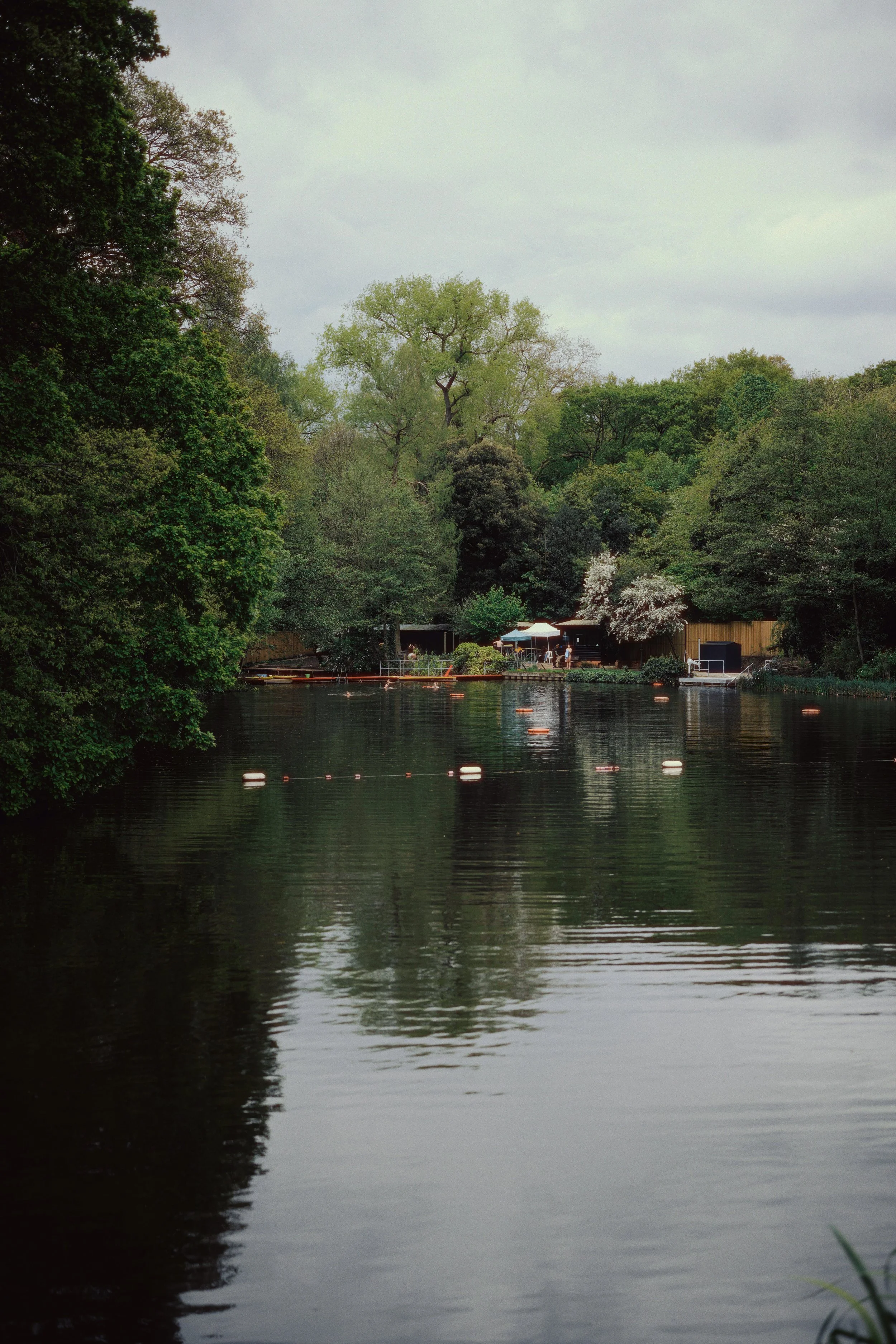 A peaceful river scene with lush green trees on both sides, a small dock and outdoor seating area in the background, overcast sky, and calm water reflecting the greenery.