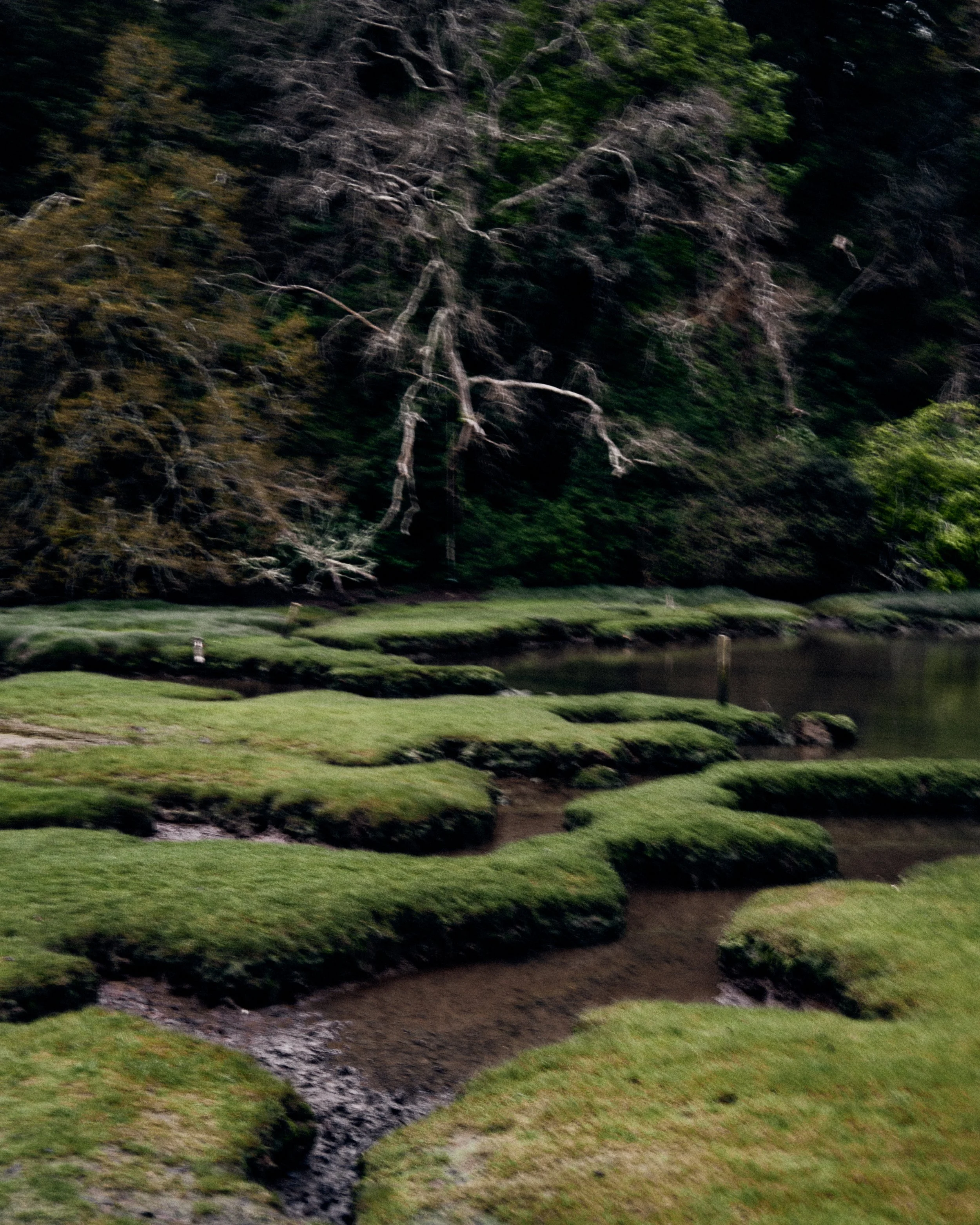 DSCF4889.jpg