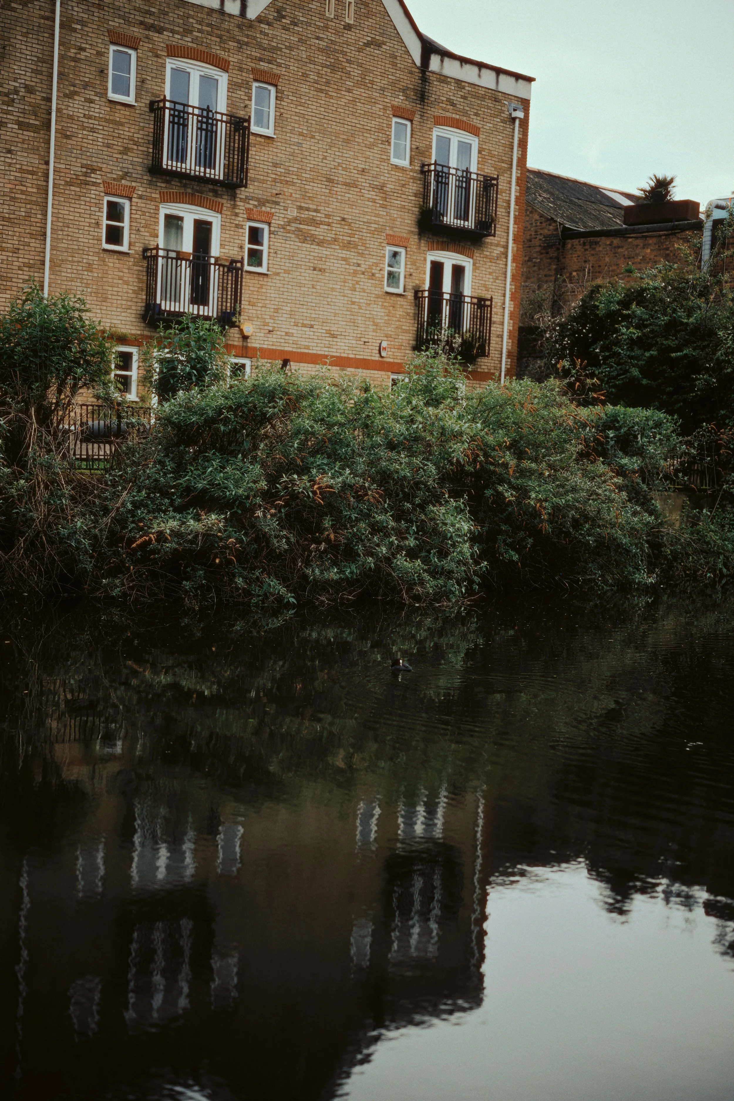 A multi-story brick building with four balconies overlooking a body of water, with dense green bushes along the shoreline and the building's reflection visible in the water.