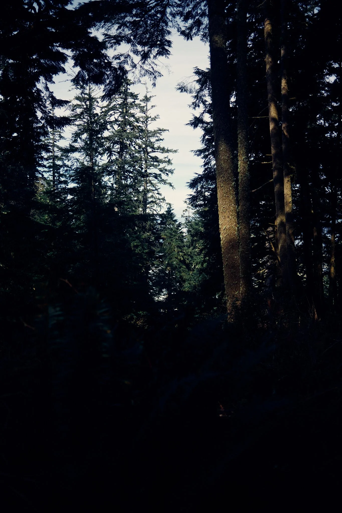 DSCF7662.jpg