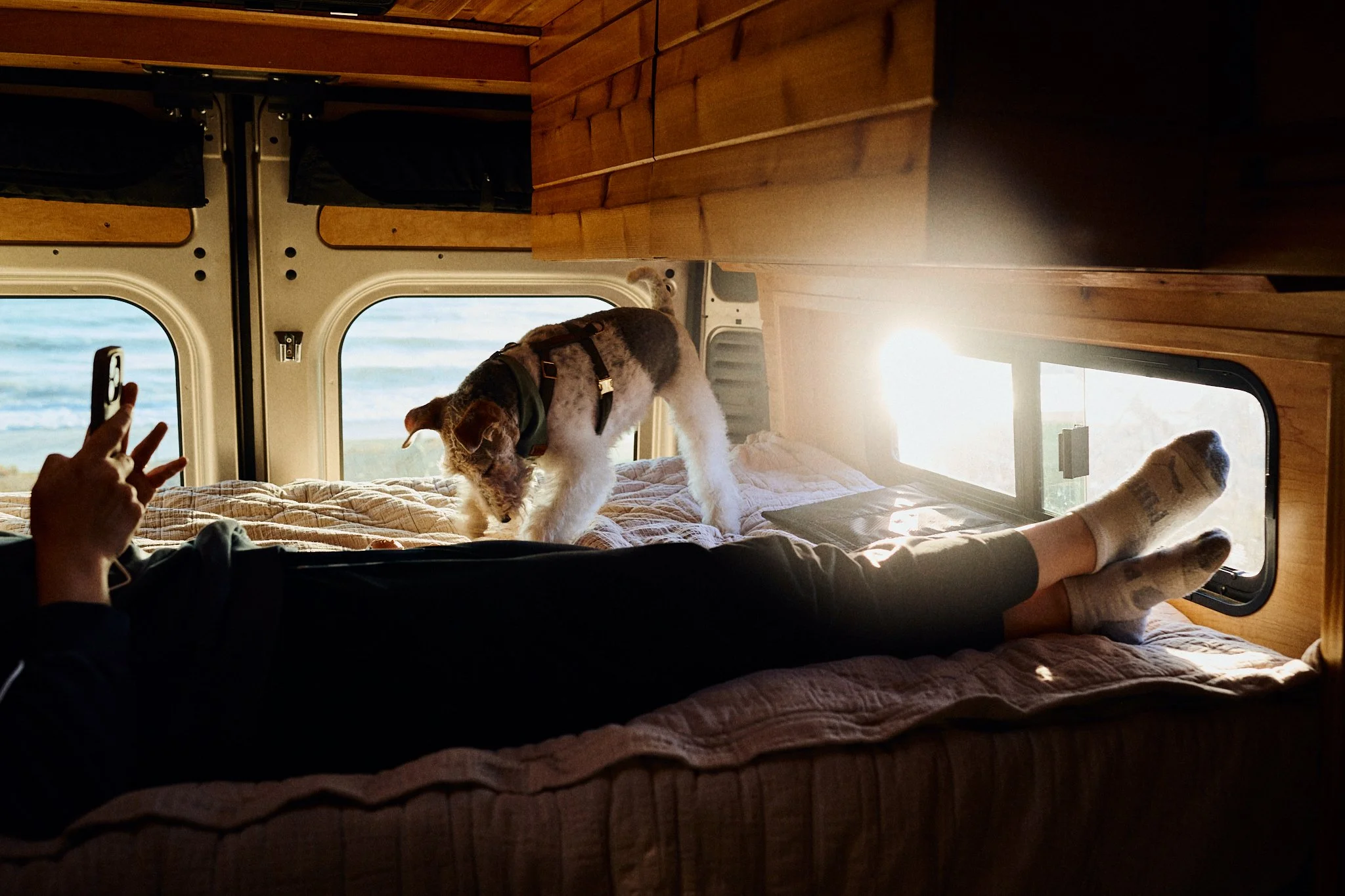 Person lying on bed inside a camper van with a dog exploring on the bed, sunlight streaming through the window, and someone taking a photo.
