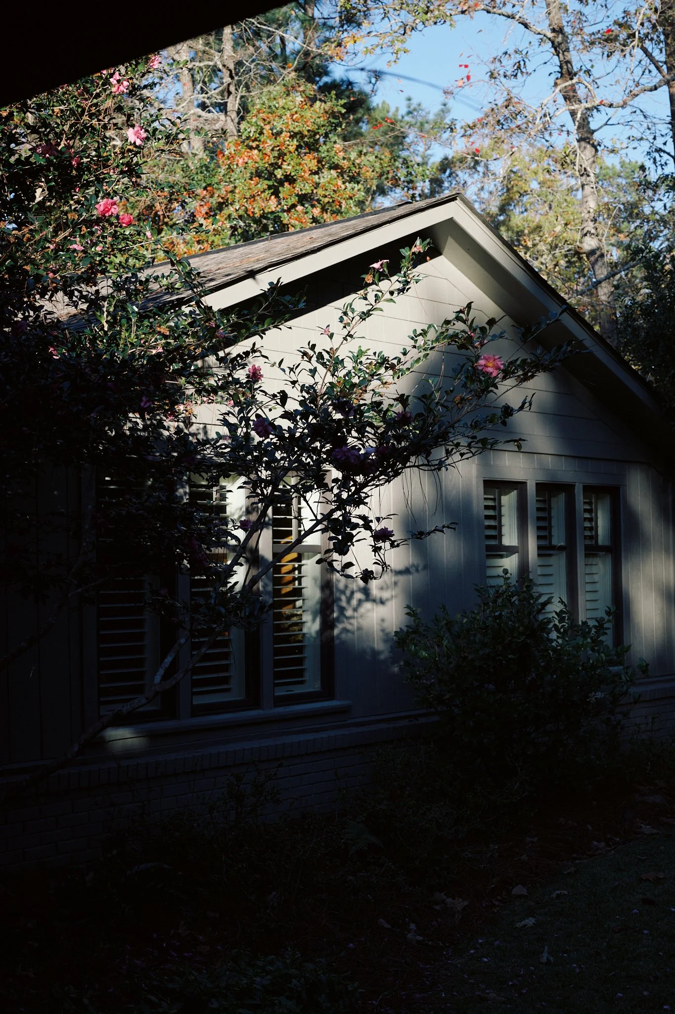 Side view of a house with a sloped roof, partially shadowed, surrounded by trees and flowering bushes, with three rectangular windows with shutters.