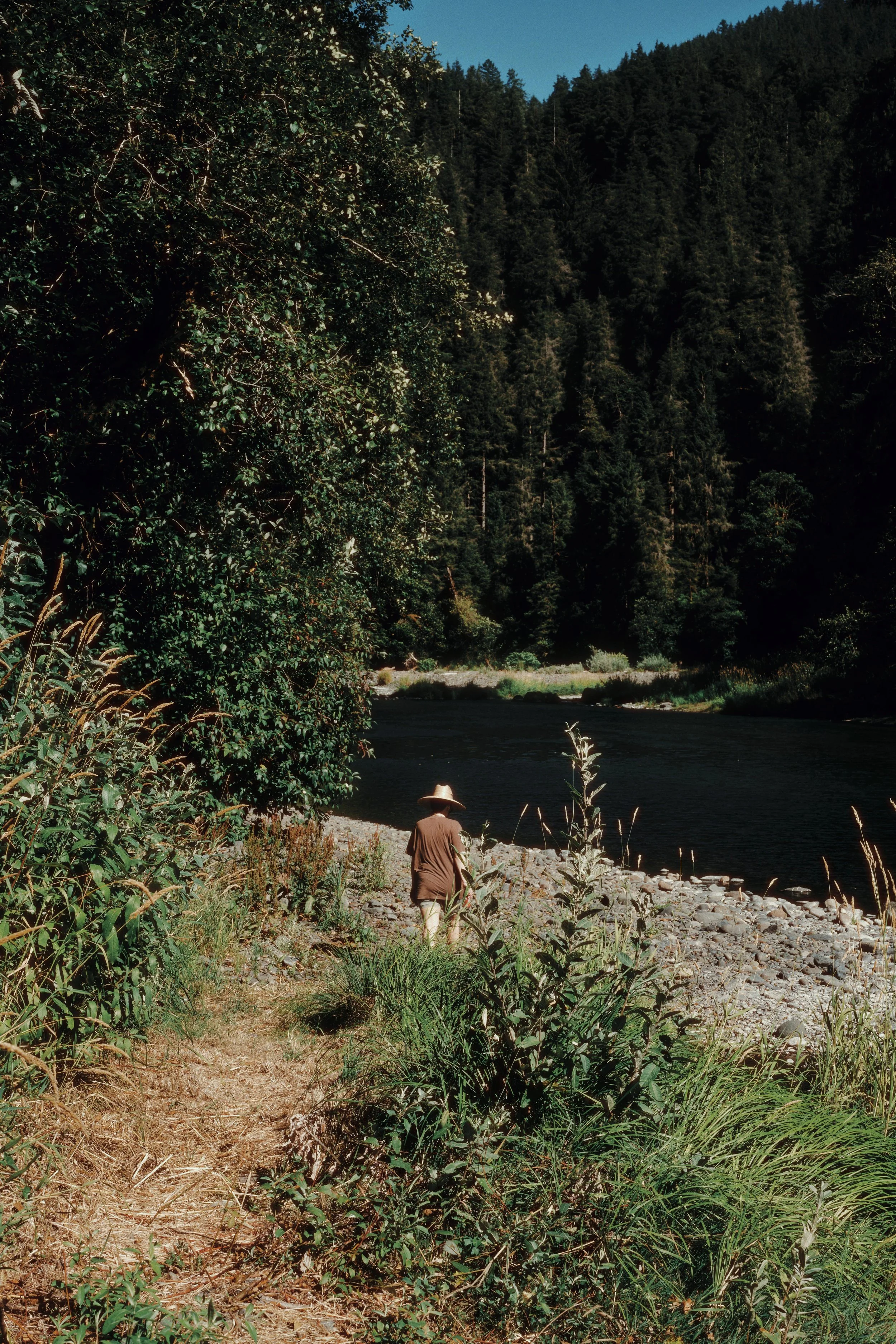 A person wearing a wide-brimmed hat and brown clothing walking along a dirt path beside a river, surrounded by tall green trees and mountains in the background.