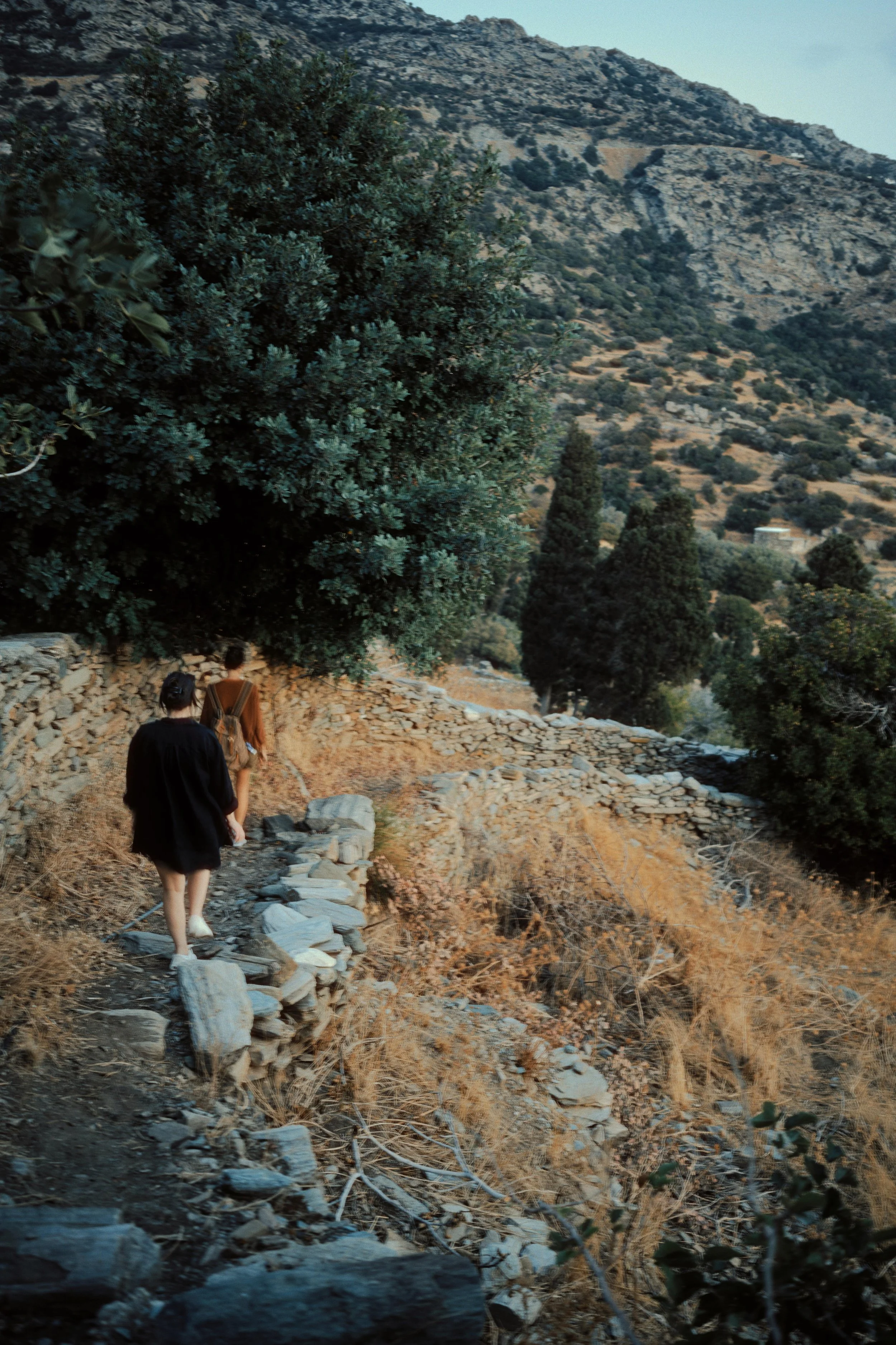 Two people walking on a narrow, rocky trail through a mountainous area with trees and dry grass.