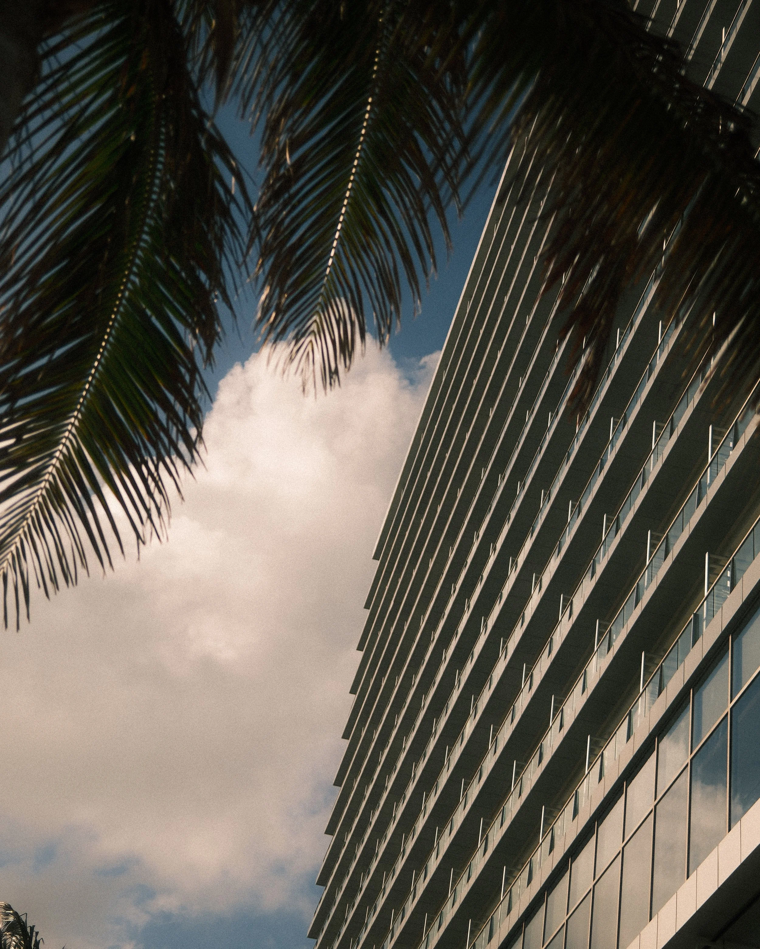Modern glass building with balconies and a palm tree against a partly cloudy sky.