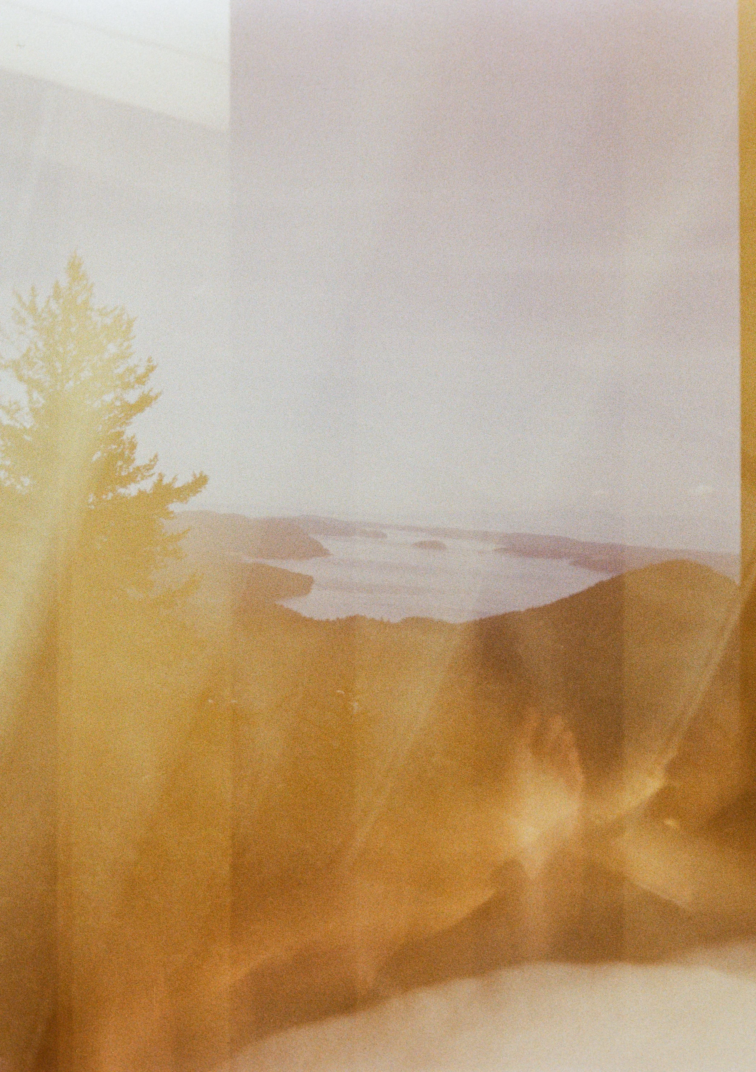 Landscape painting of a beach with hills, a large tree, and a sky with clouds.