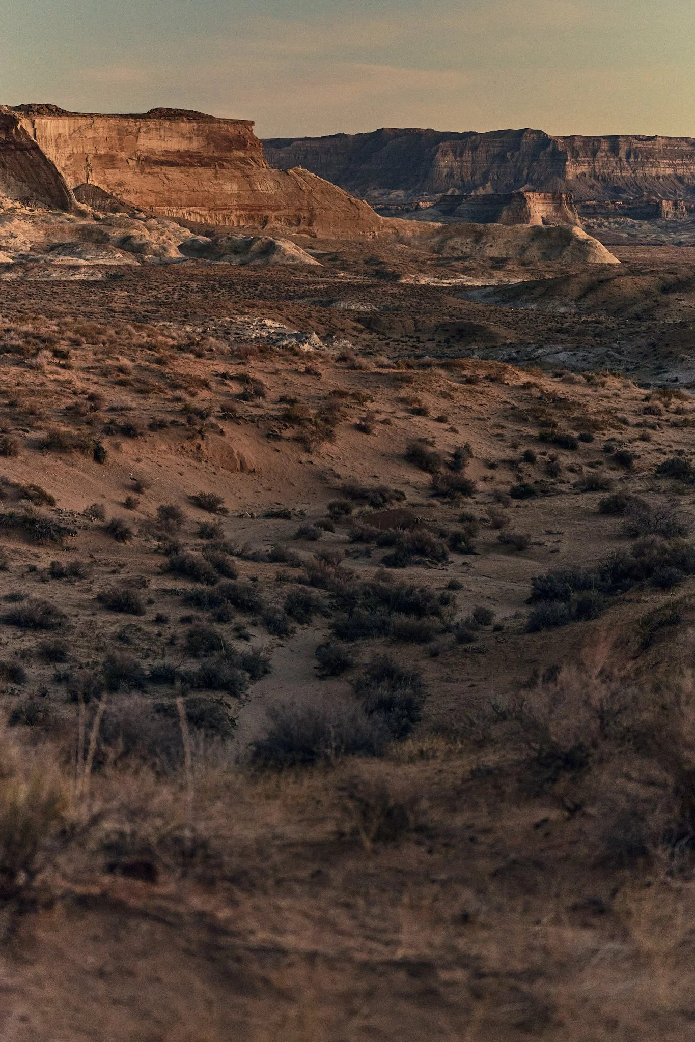 Desert landscape with rugged terrain, sparse bushes, and layered rock formations under a dusky sky.