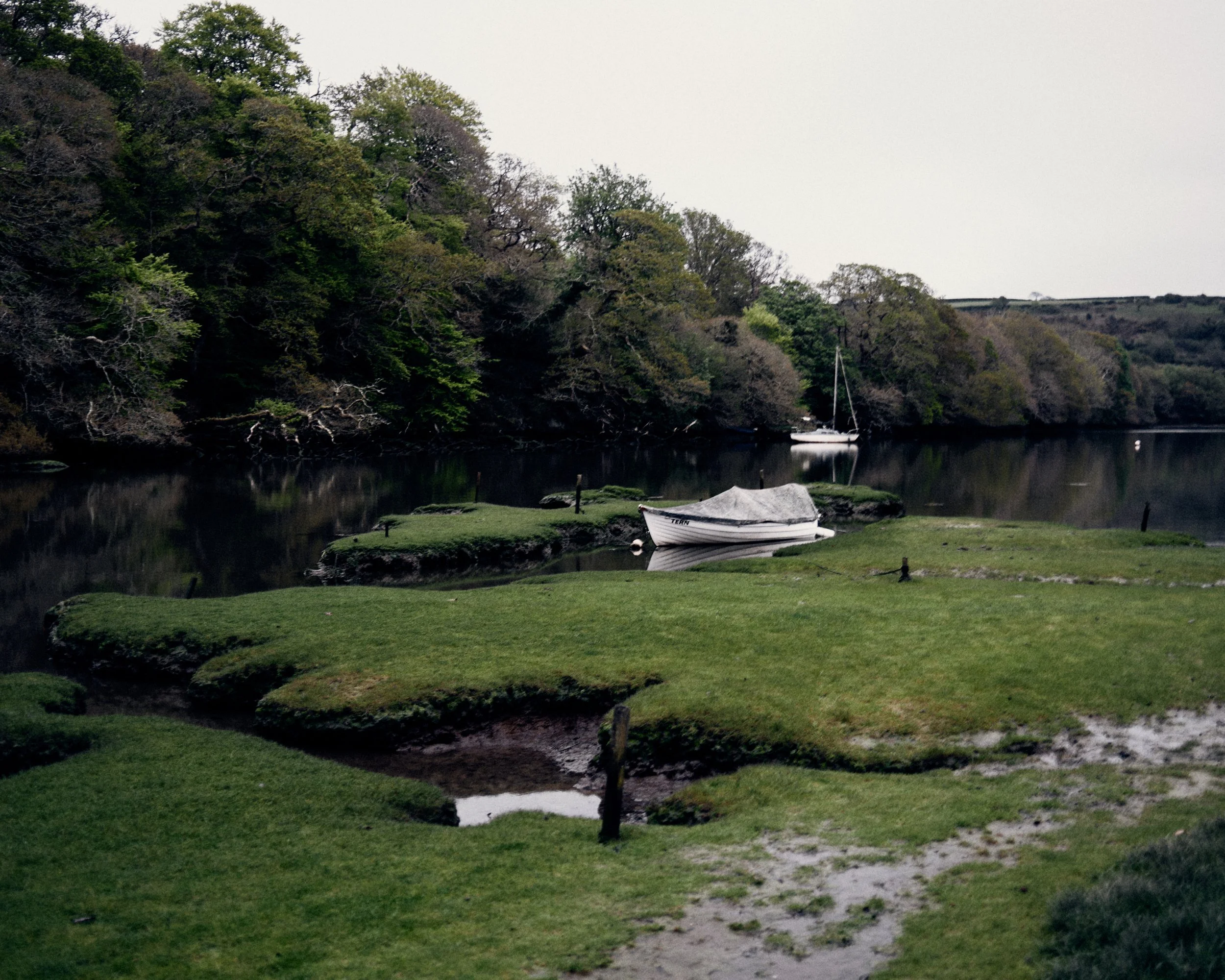 DSCF4884.jpg