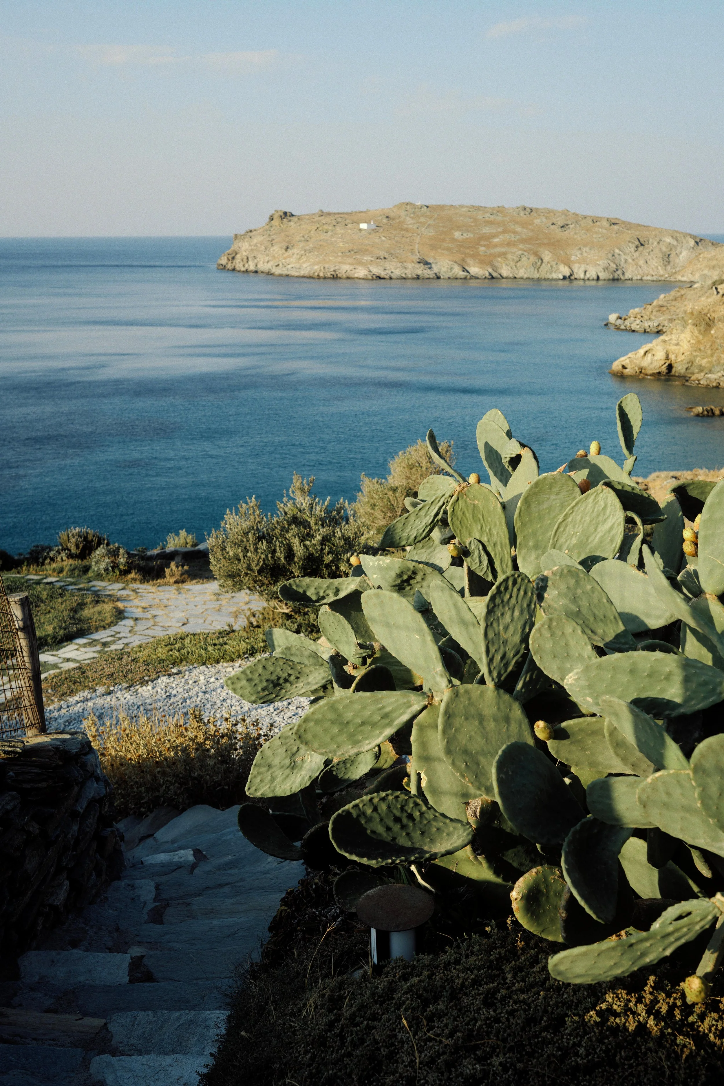 A coastal landscape with a large prickly pear cactus in the foreground, stone steps leading down, and a calm ocean with a rocky island in the distance under a clear sky.
