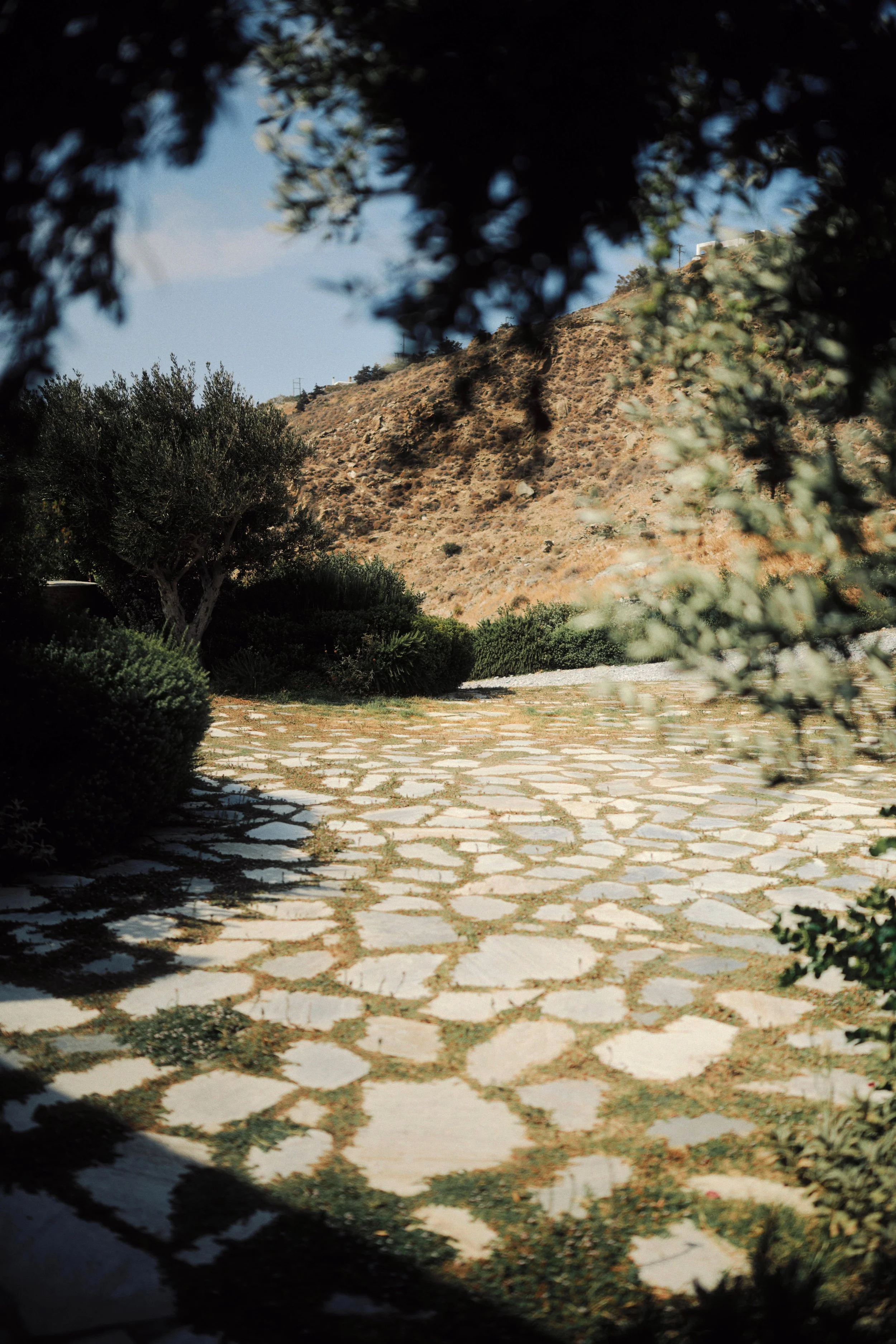 Stone pathway curving through bushes with a hillside and house in the background, framed by tree branches.