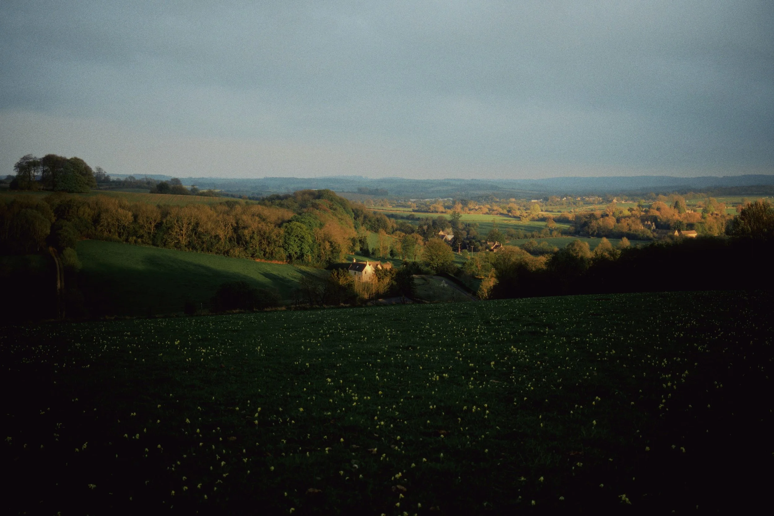 A scenic view of rolling green hills and distant countryside under a hazy sky, with scattered trees and small houses.