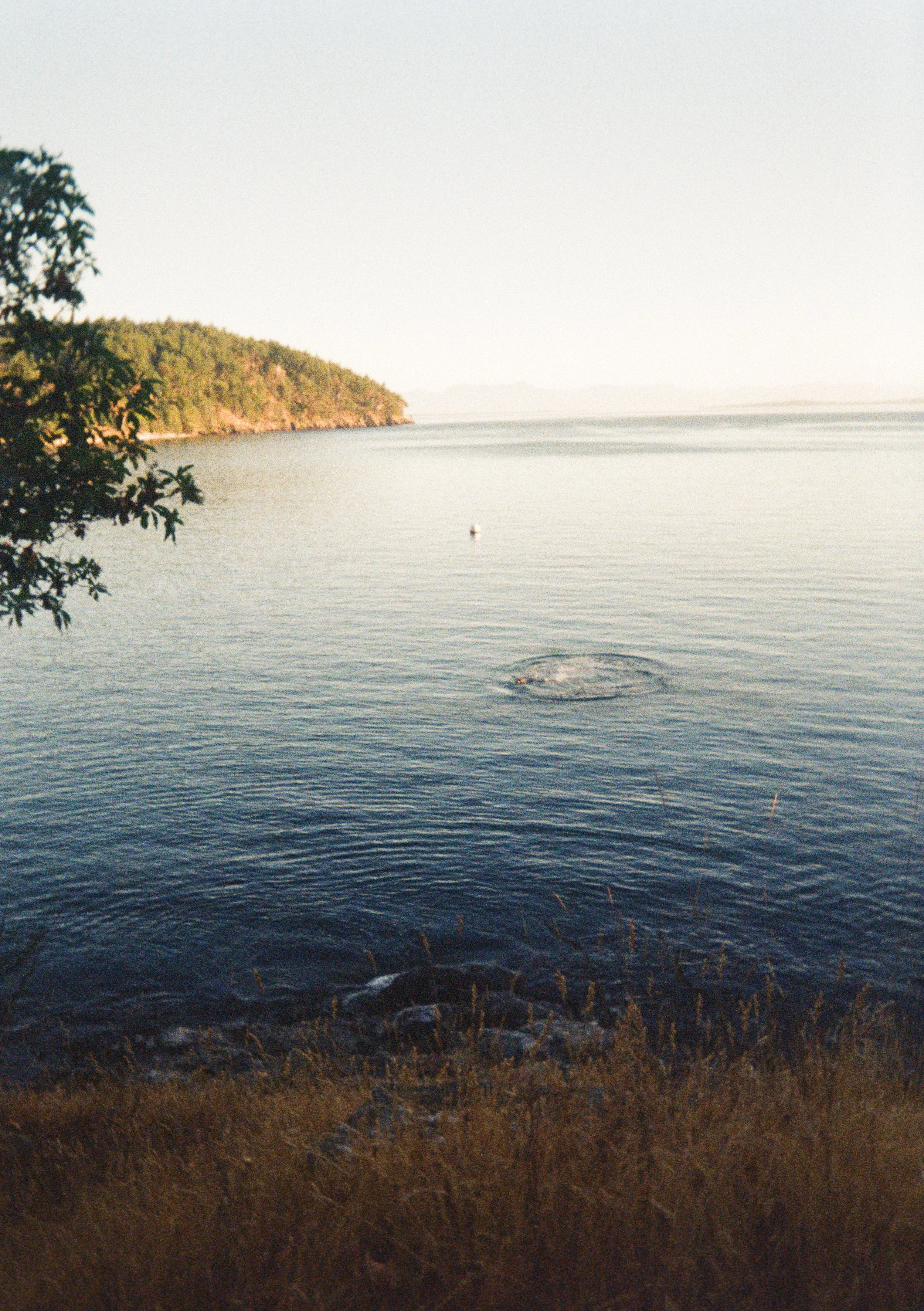 Calm body of water with a small boat and a plume of mist or smoke rising from the water, surrounded by trees and distant hills.