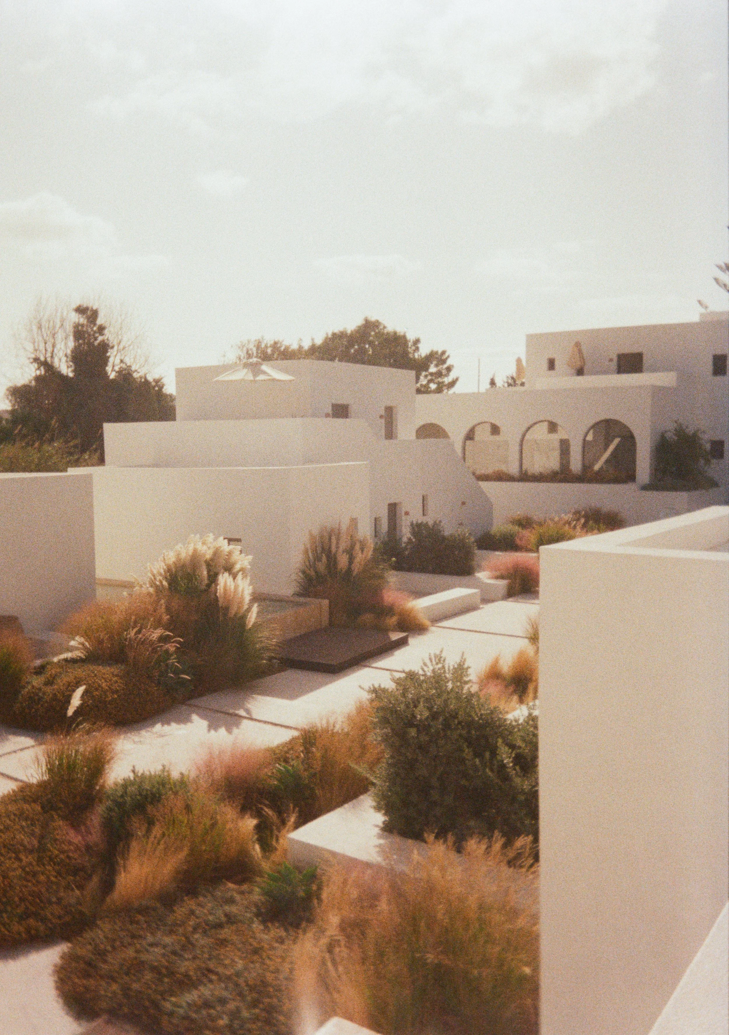 Modern white buildings with curved and arched architectural features, surrounded by desert-style garden with grasses and shrubs, under a partly cloudy sky.