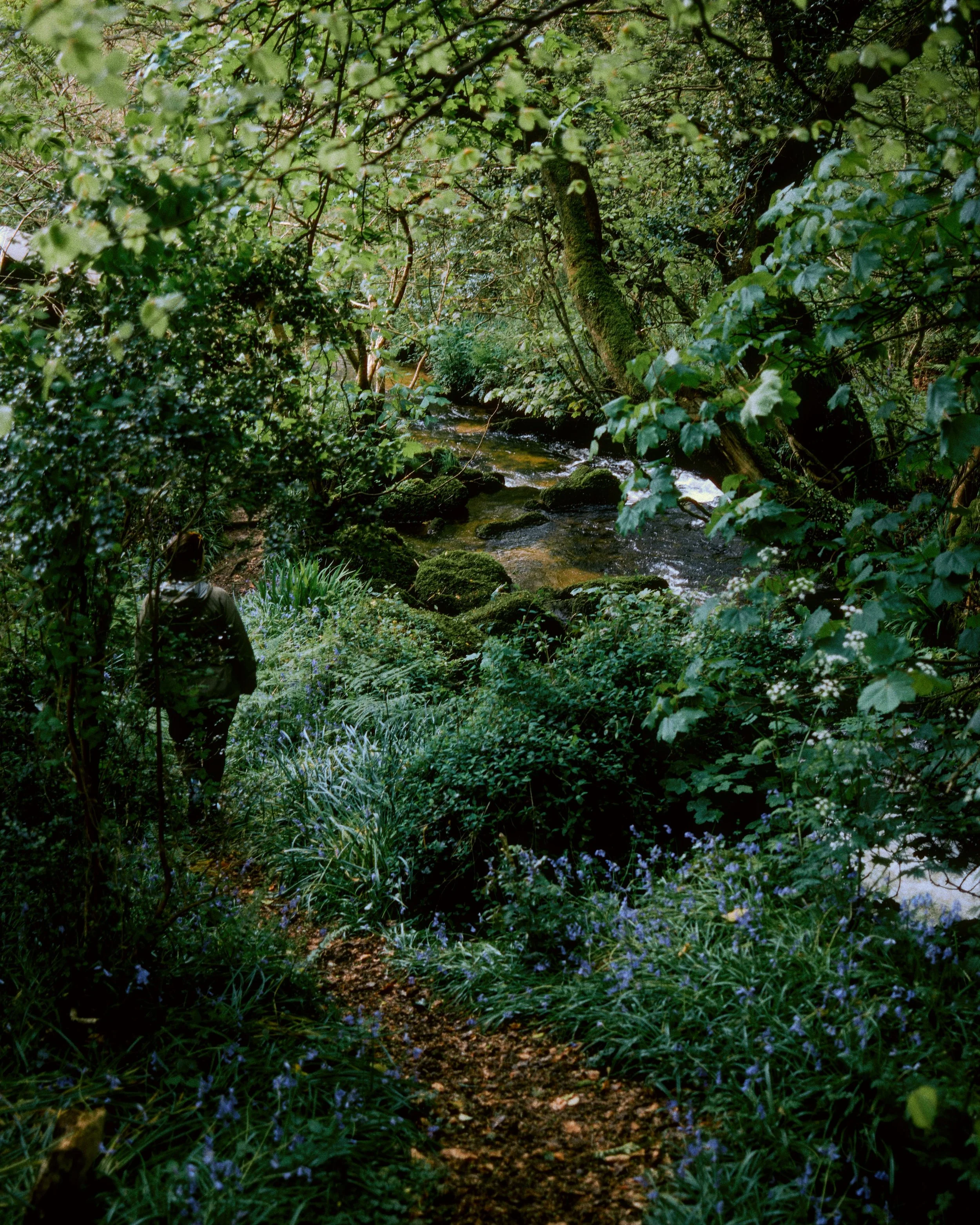 DSCF4635.jpg