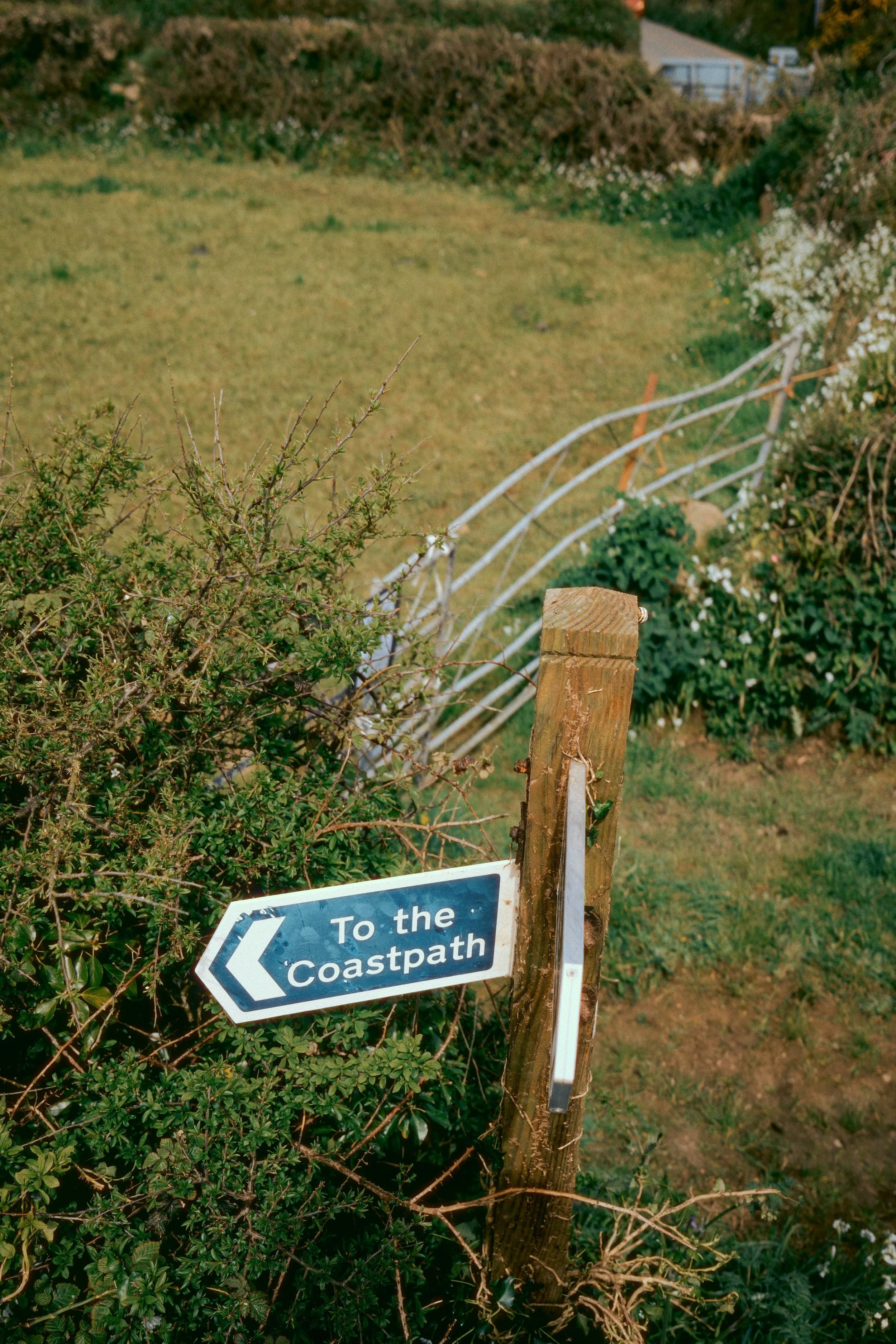 DSCF4175.jpg