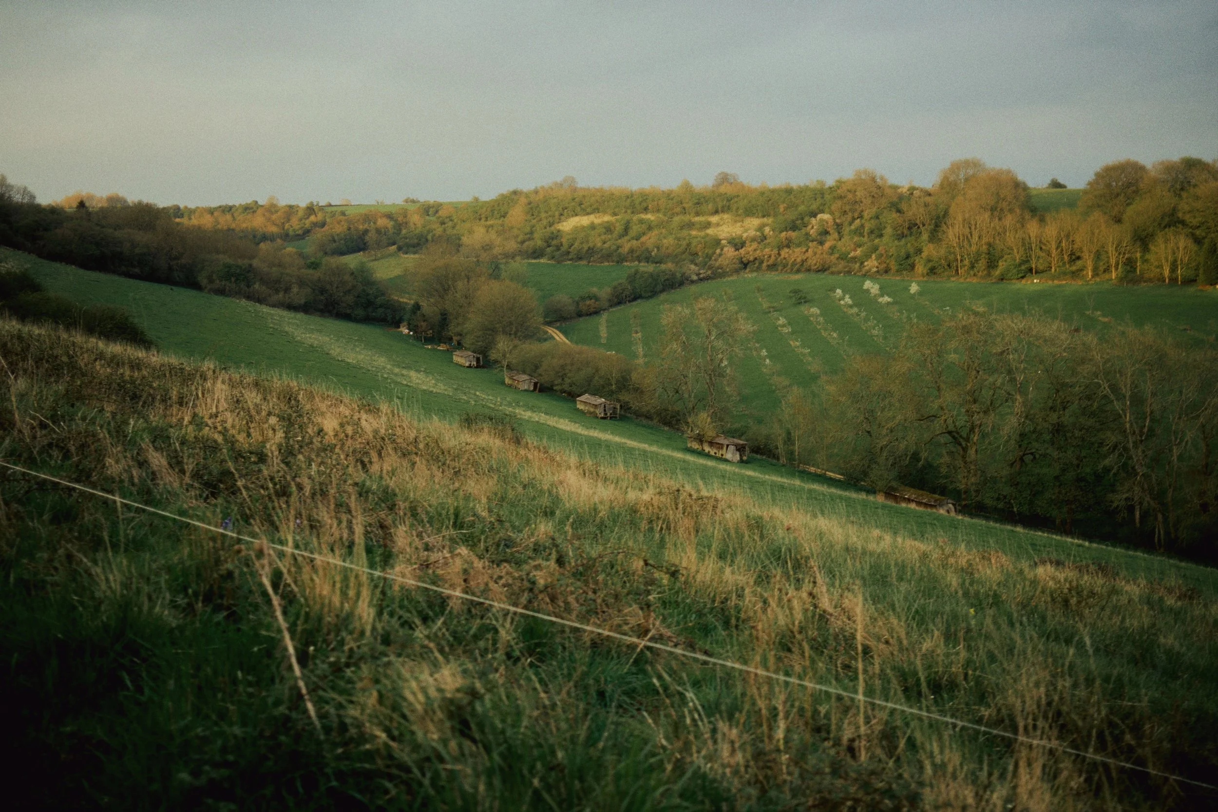 Rolling green hills with sparse trees, small wooden sheds, and agricultural fields under a cloudy sky at sunset.