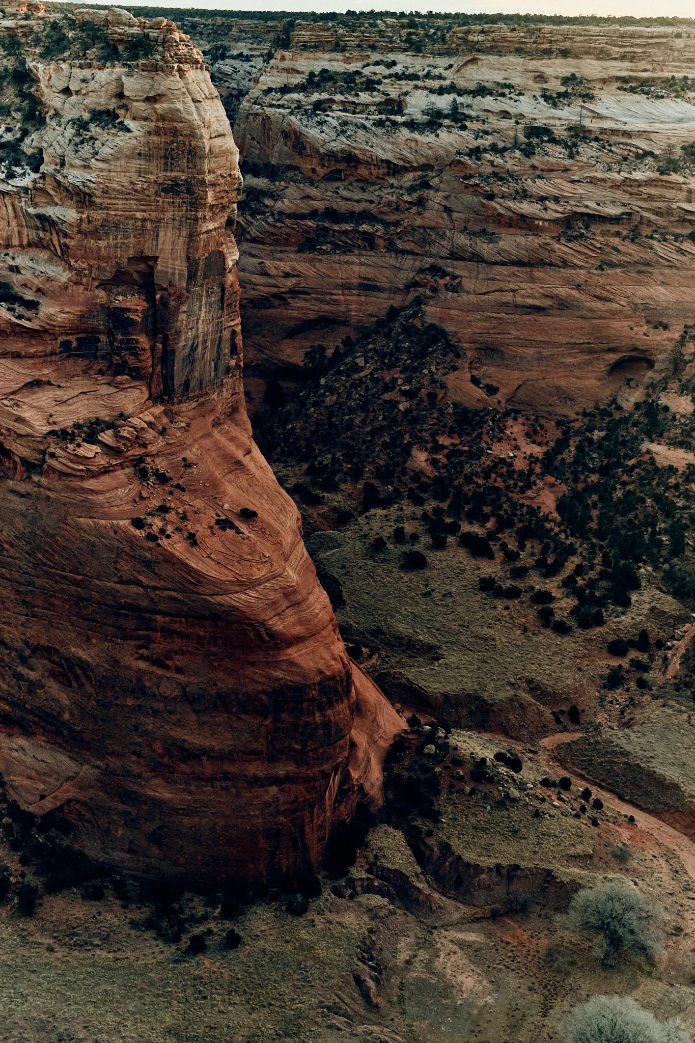 Aerial view of a deep canyon with layered rock formations and sparse vegetation.