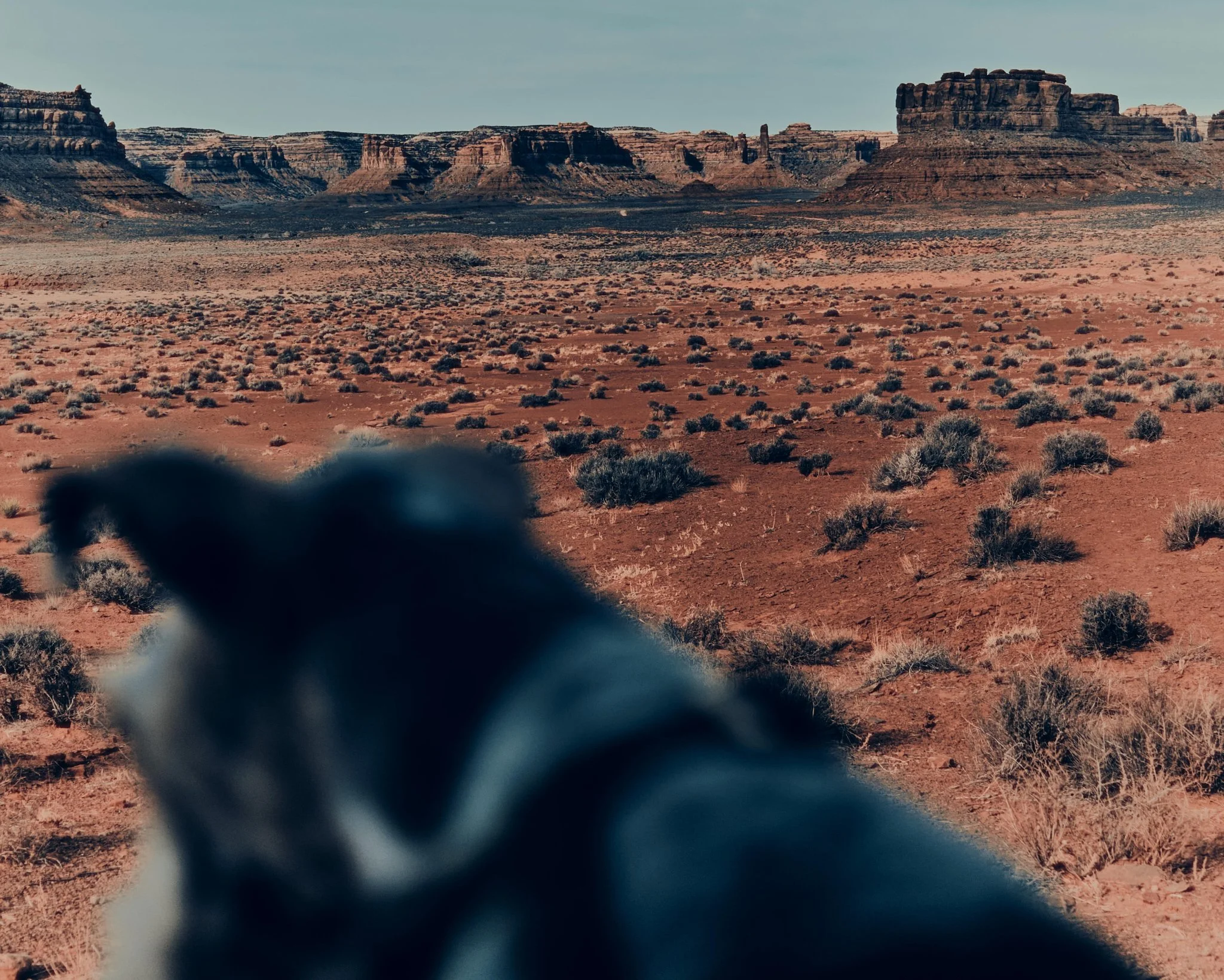 A desert landscape with sparse shrubs, red sand, and distant mesas under a clear sky, with a blurred object in the foreground.