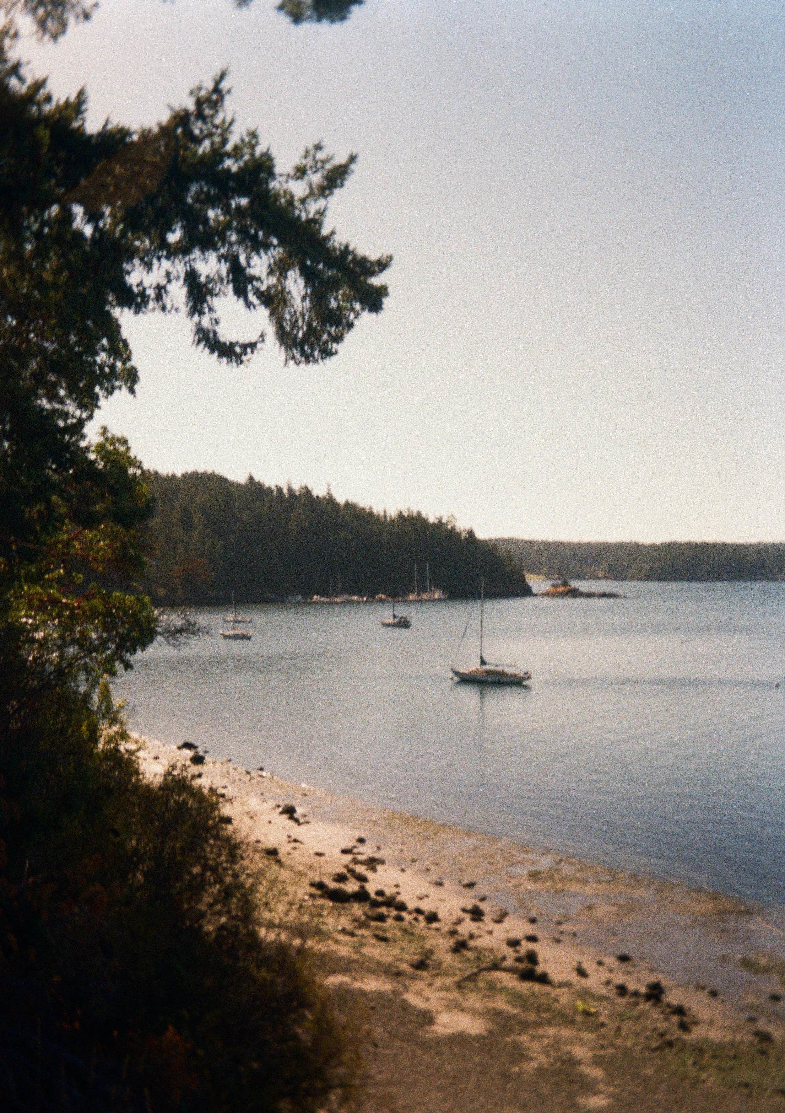 Sailing boats anchored near a wooded shoreline on a calm body of water with a sandy beach and rocks in the foreground.