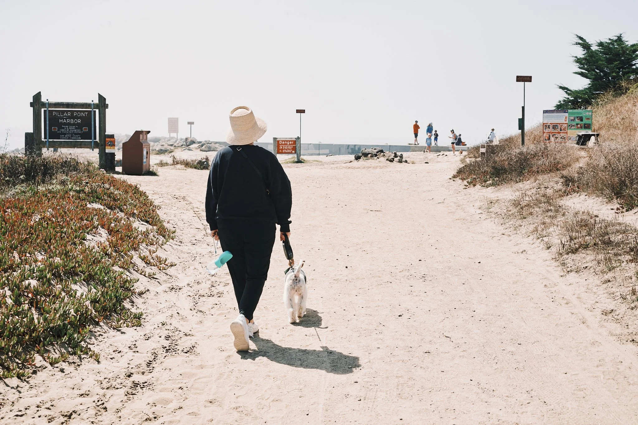 A person walking a dog on a sandy beach path with signs and other people in the background.