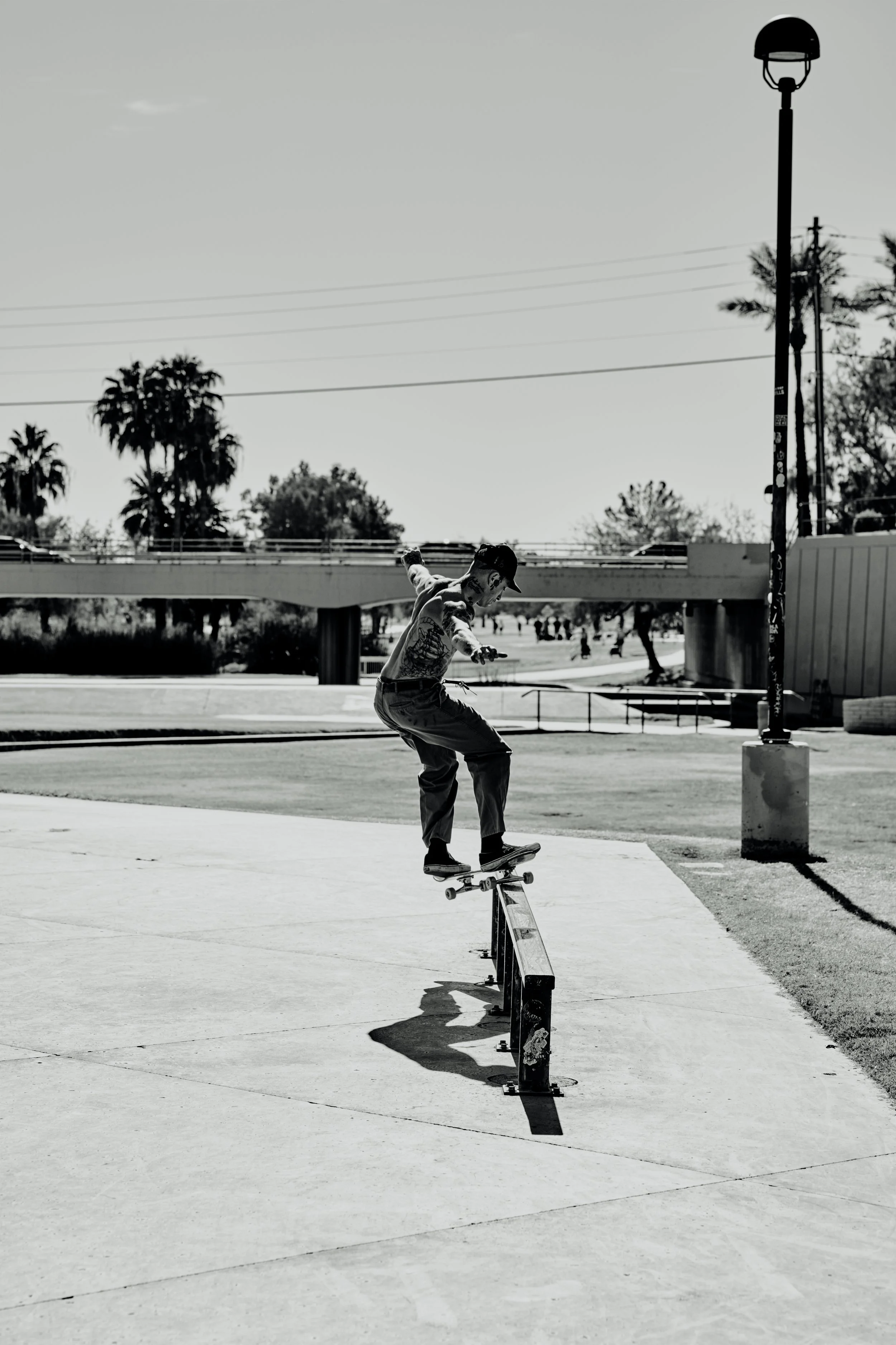 A person skateboarding on a metal rail in an outdoor park, with palm trees and a bridge in the background, black and white photo.