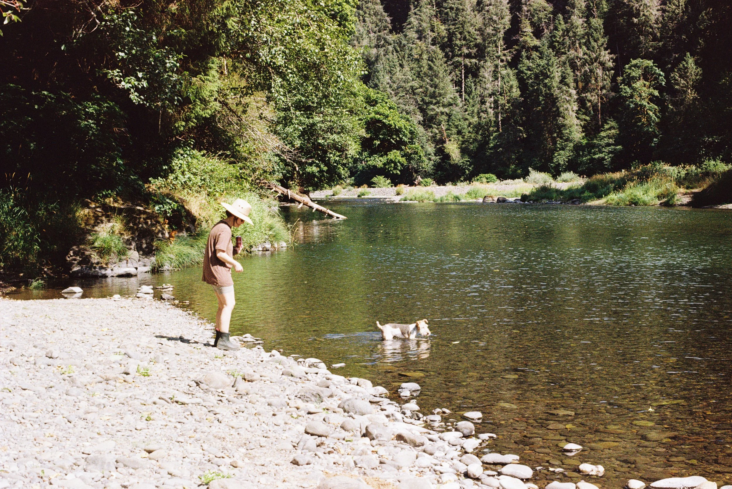 Person wearing a large straw hat and outdoor clothing standing on a rocky riverbank, holding a drink, with a small dog in the water nearby, surrounded by dense green trees.