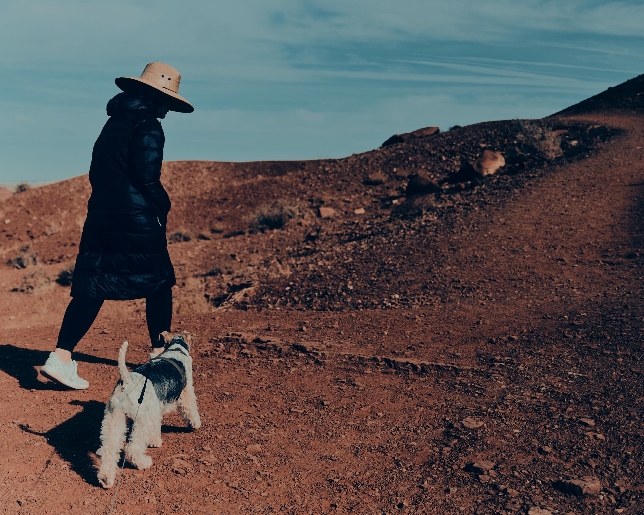 Person walking in a desert landscape wearing a large straw hat with a dog on a leash.