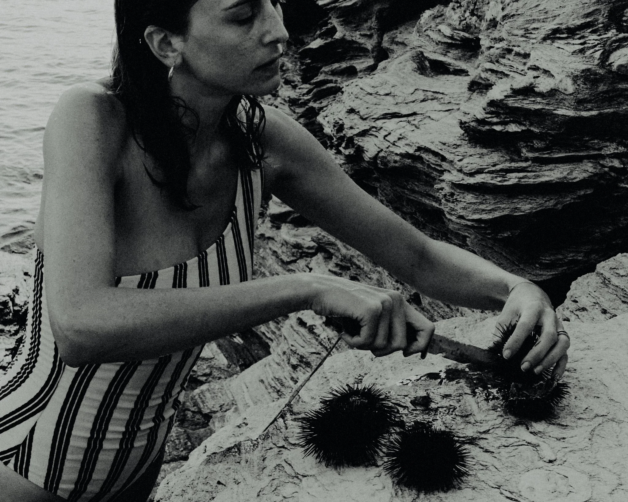 A woman in a striped dress collecting sea urchins from a rocky shoreline.