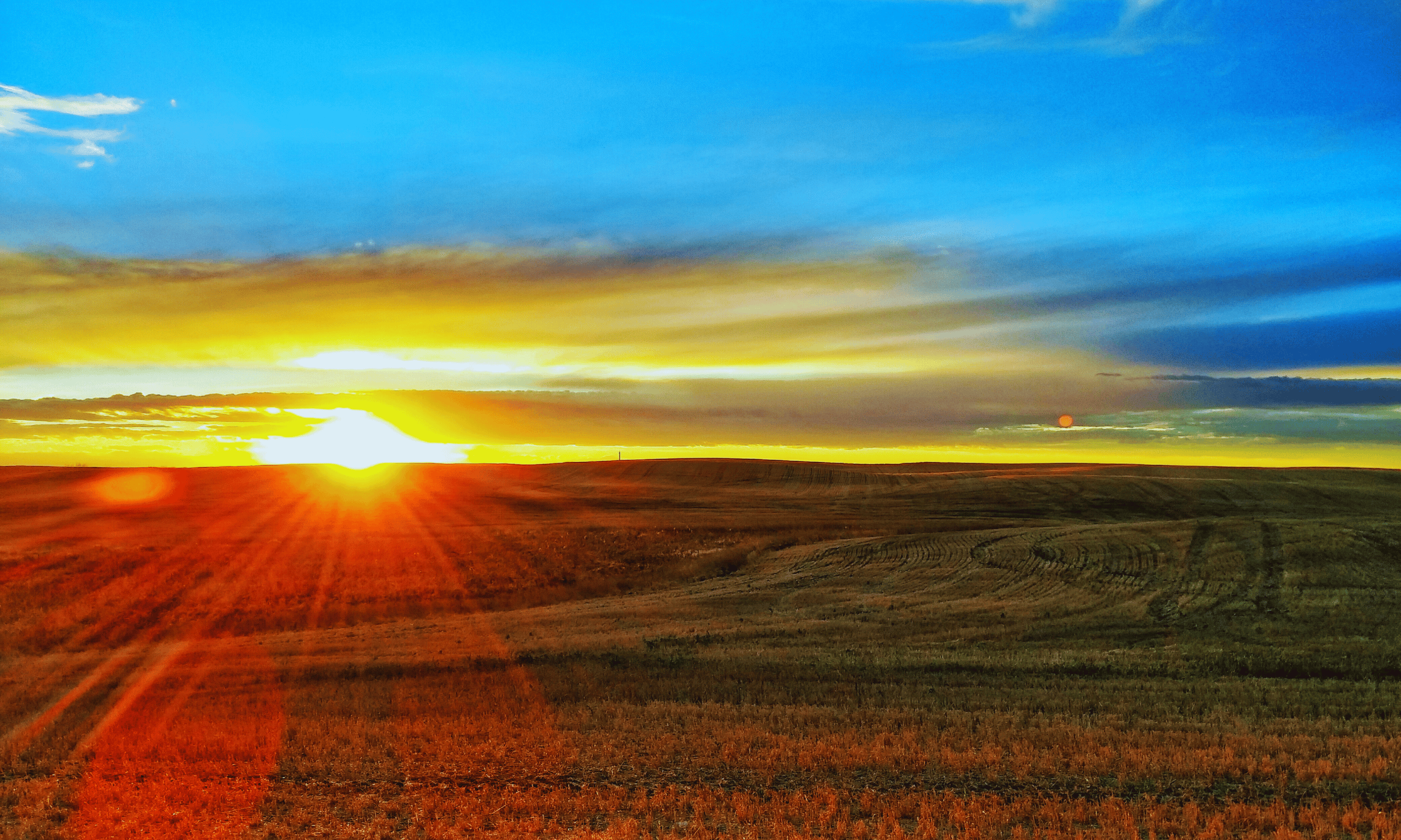 Navigating Mental Health on the Prairies: A Guide to Resources