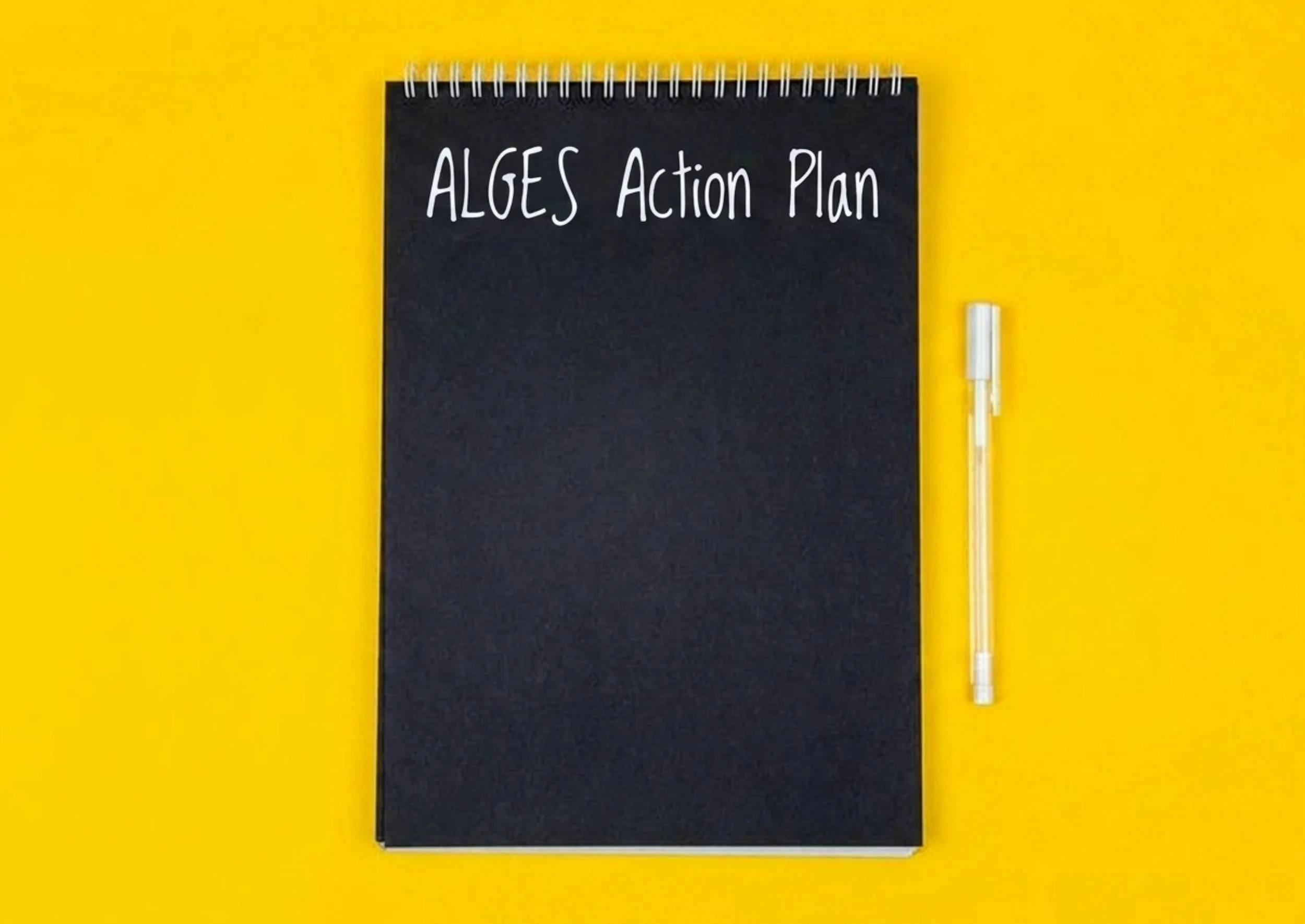 The ALGEE/ALGES Action Plan in Mental Health First Aid: A Guide