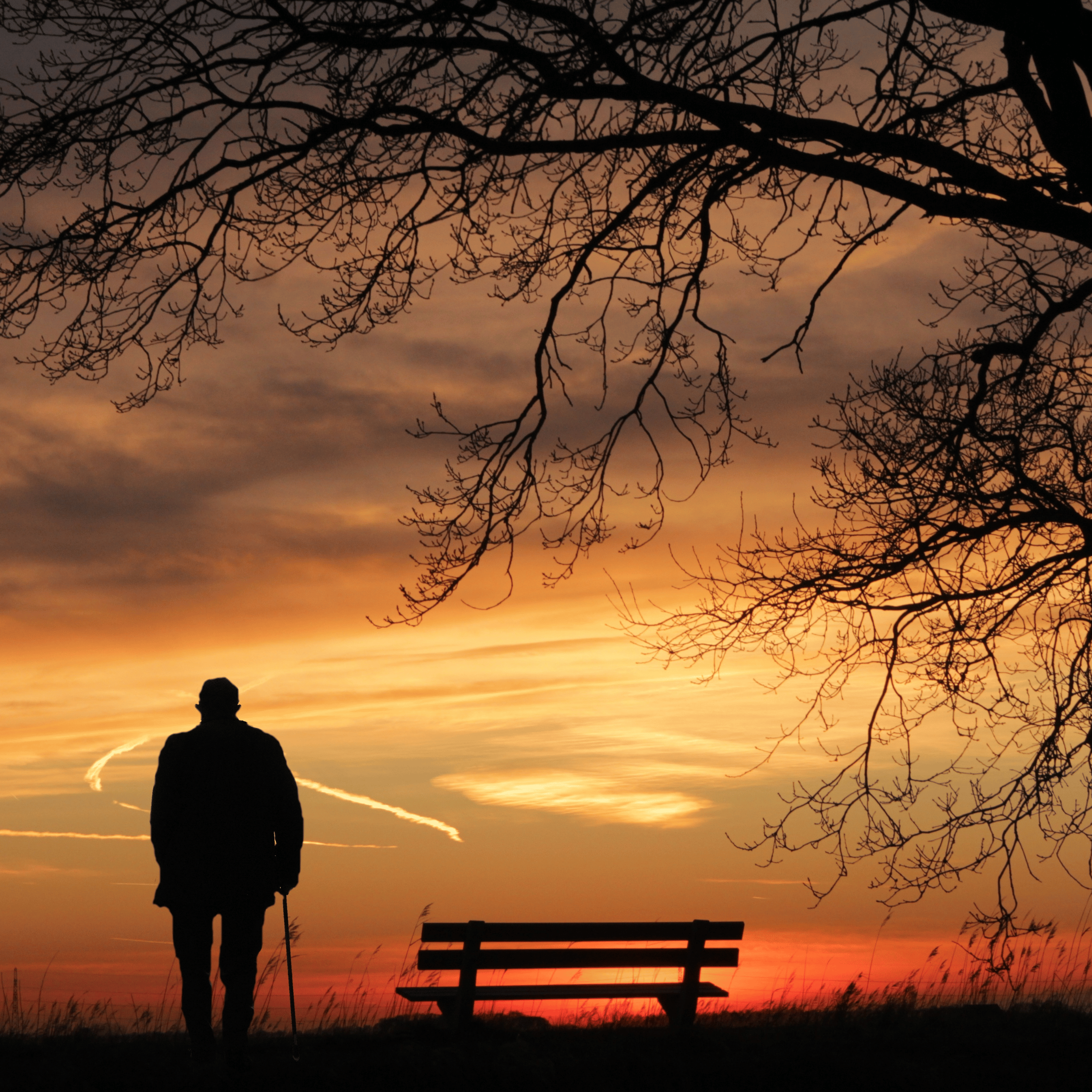 Canada's Mental Health Lifeline: Get Help Now with 9-8-8
