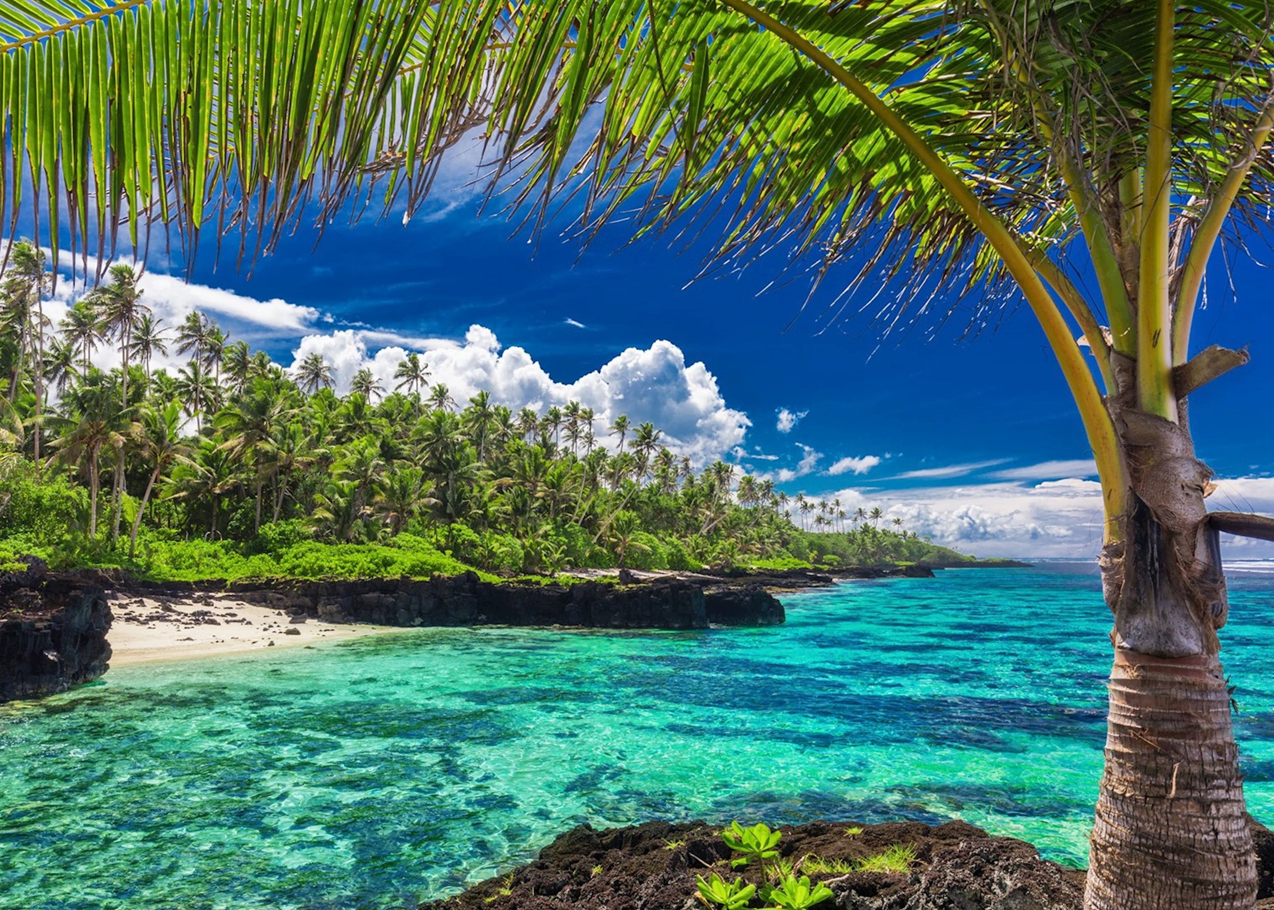 1349961-upolu-coral-reef.jpg