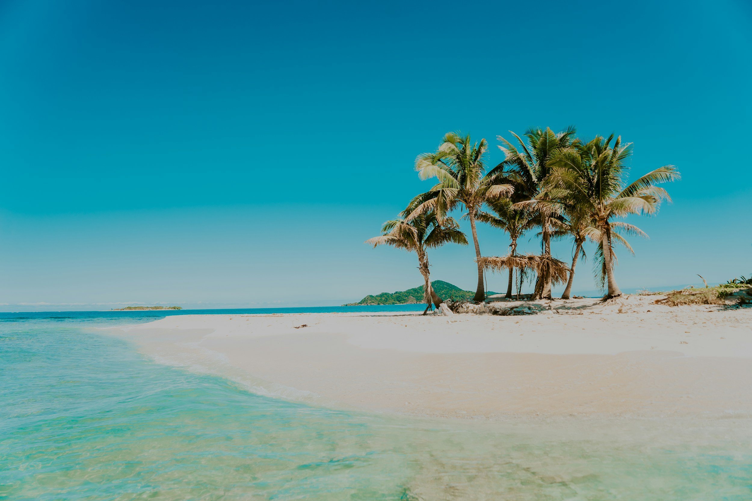 unsplash-image-ZiiJrnrdSXQ.jpg