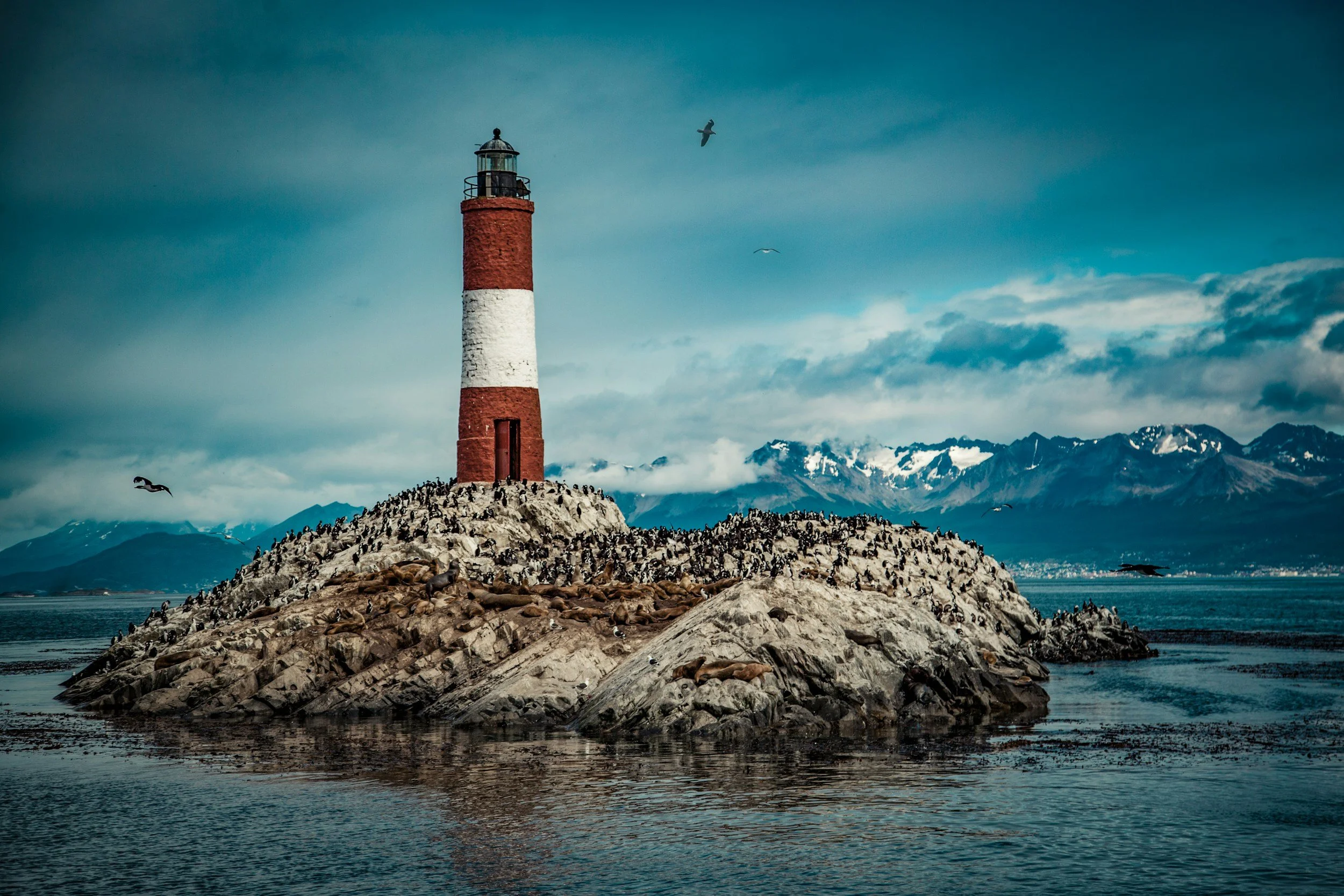 unsplash-image-F_zec7P_OwA.jpg