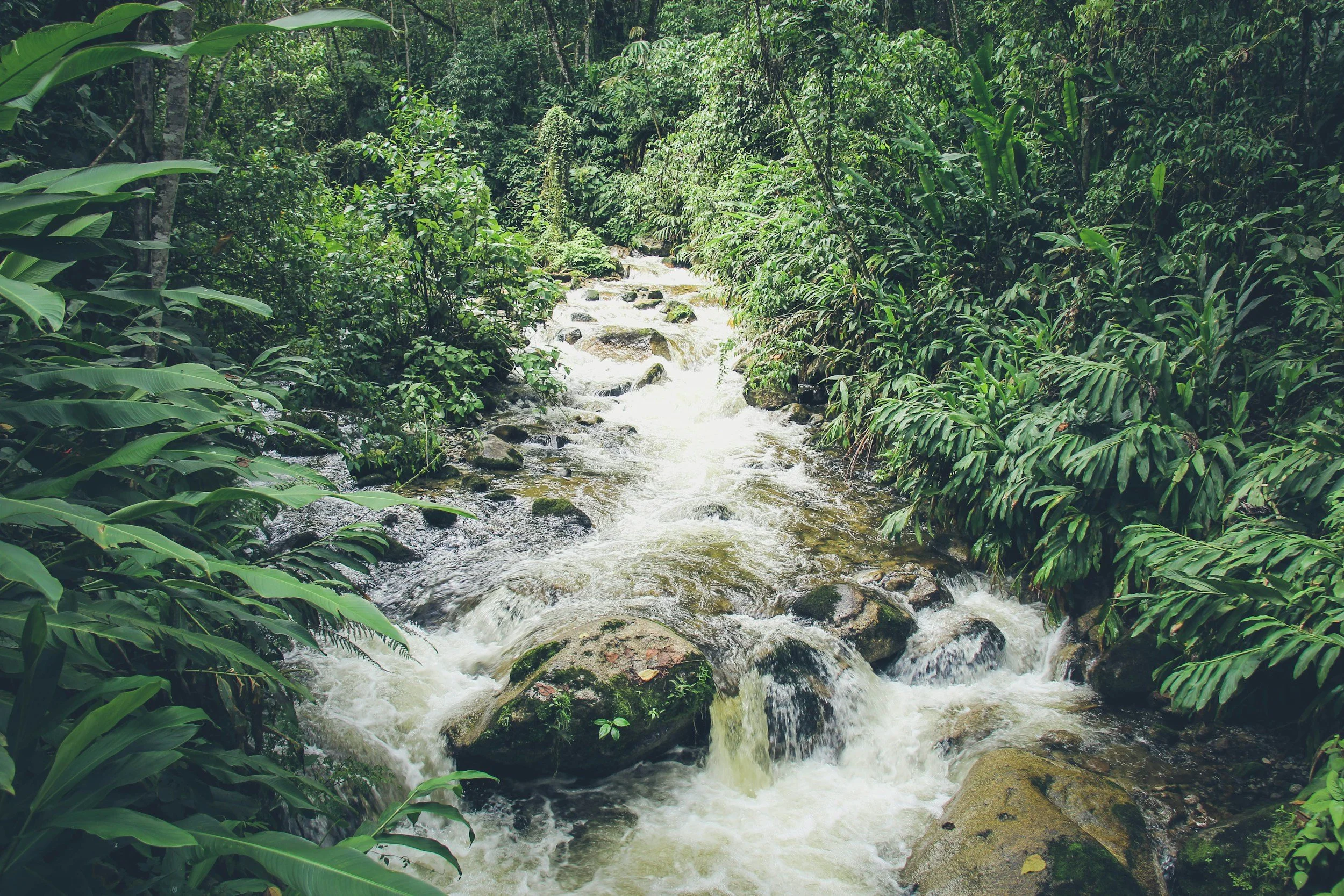 unsplash-image-HXxL3LgPQGo.jpg