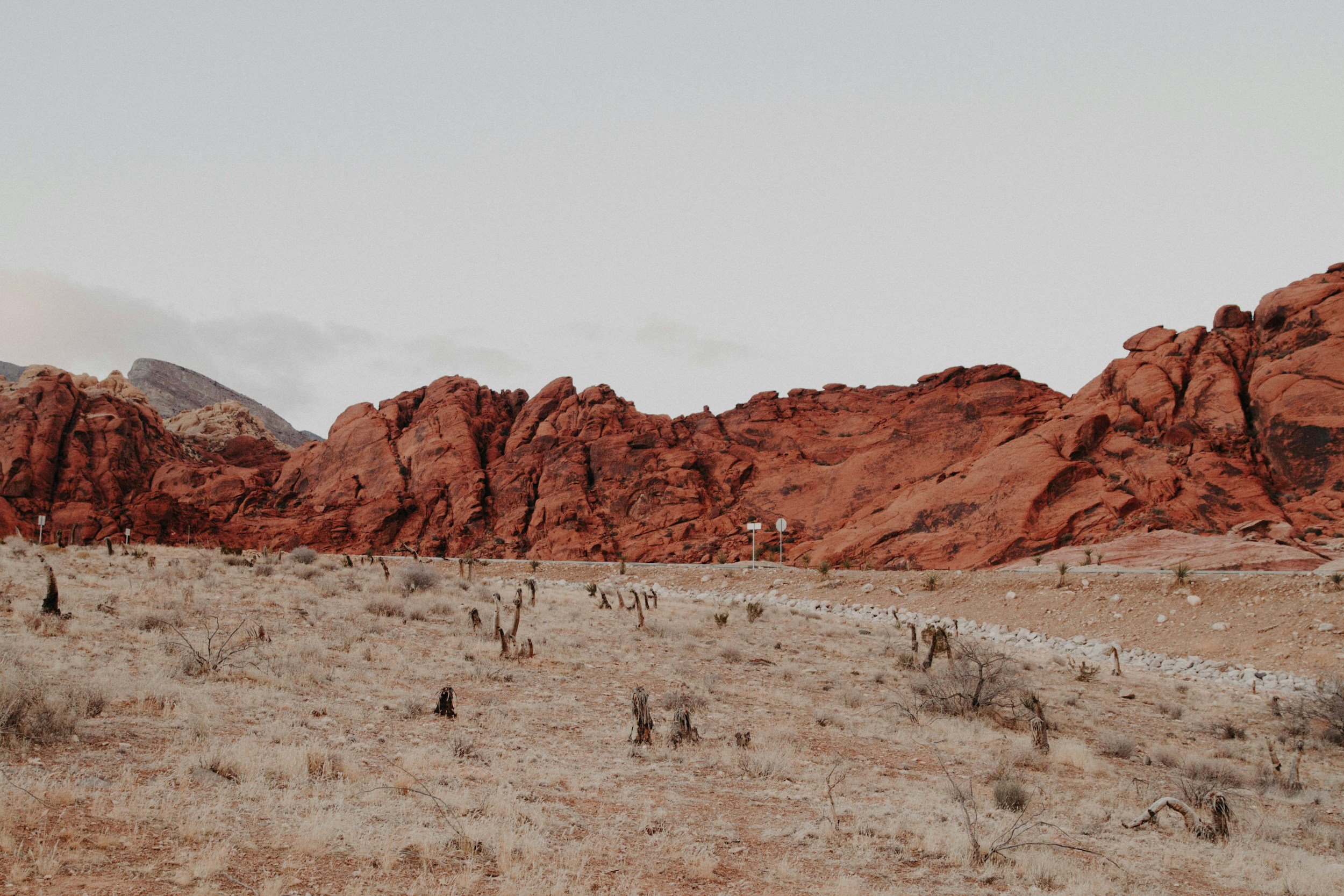 unsplash-image-C8HVCiuu8c0.jpg