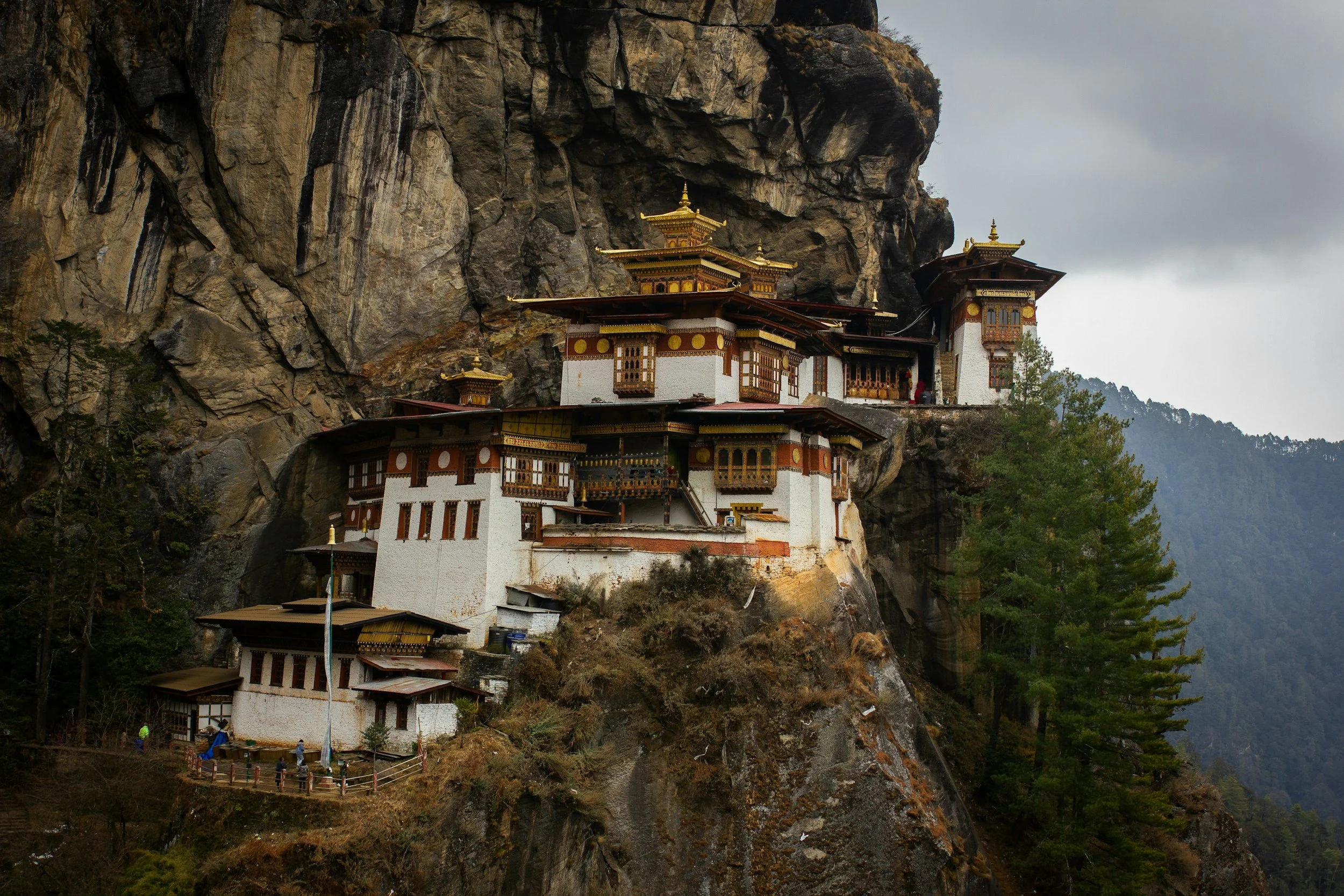 unsplash-image-OzAPEQPMcPA.jpg