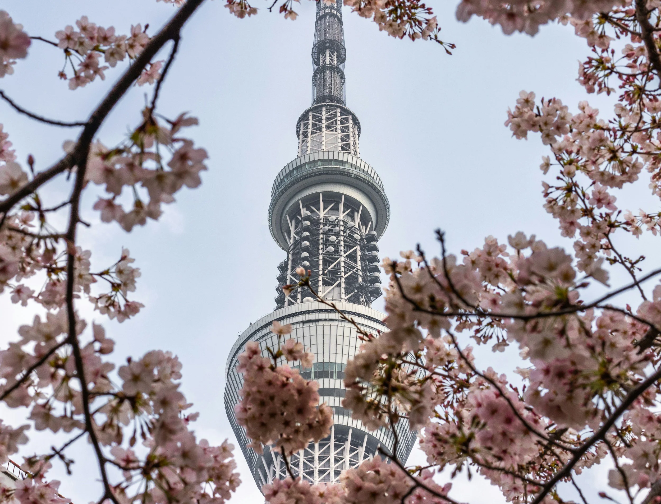 unsplash-image-iCoKBp2bZEU.jpg