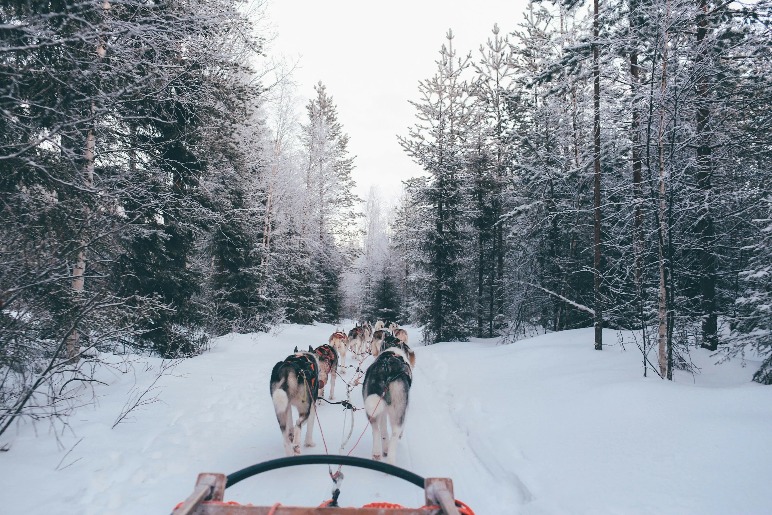 unsplash-image-nzmPi4d5cvc.jpg