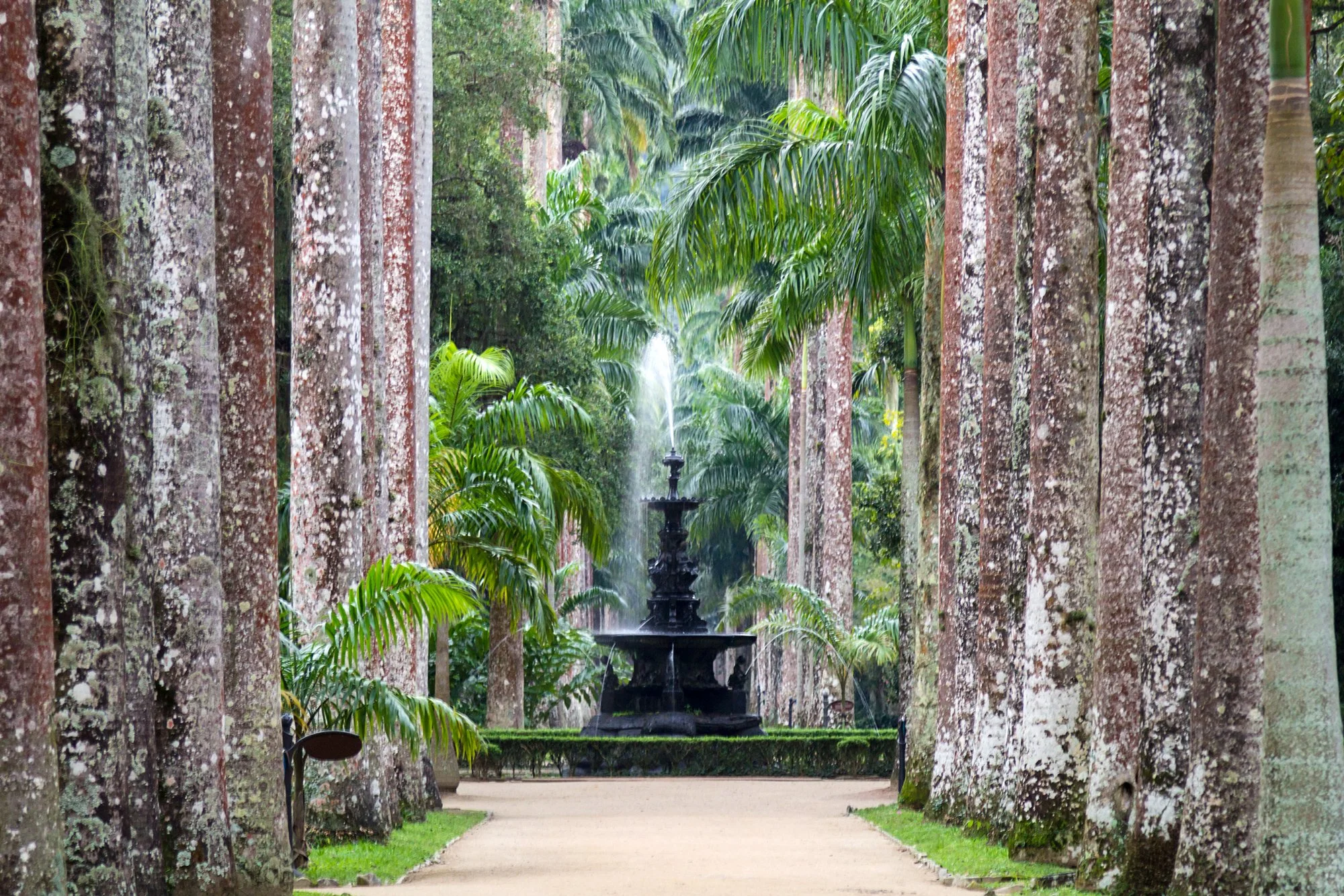 8fbbe1e7-d73d-497a-81a2-ca73e0afc05a_Jardim+Botanico+iStock-Cesar+Okada.jpg