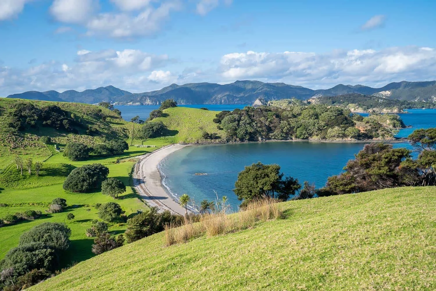 bay-of-islands-new-zealand-14.jpg