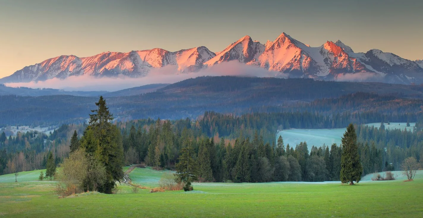 iStock-953910072.jpg