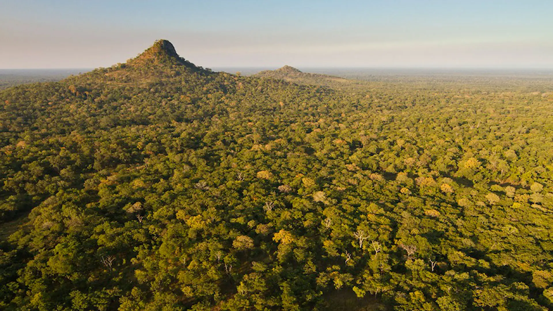 gorongosa3.jpg.jpg