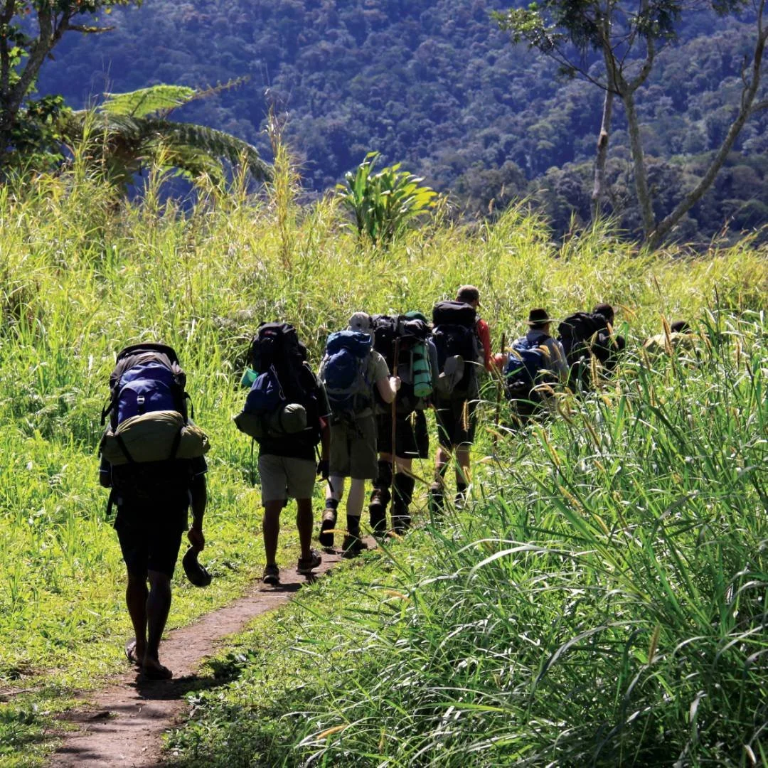 Kokoda-Track-Papua-New-Guinea-995958-1920px.jpg