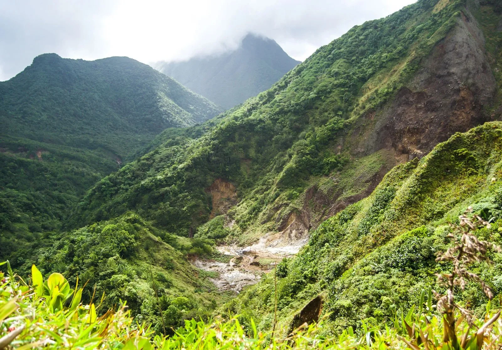 Fumaroles-vents-Dominica-Lesser-Antilles.jpg.jpg