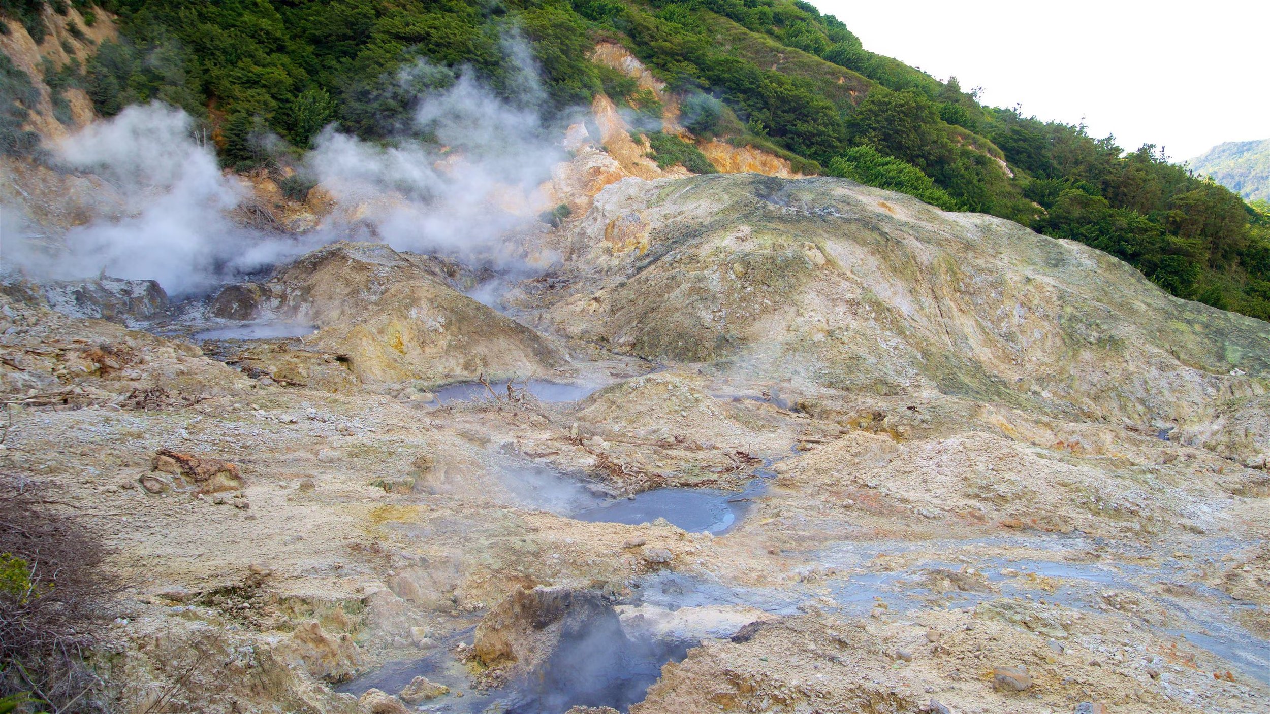 244252-Sulphur-Springs.jpg.jpg