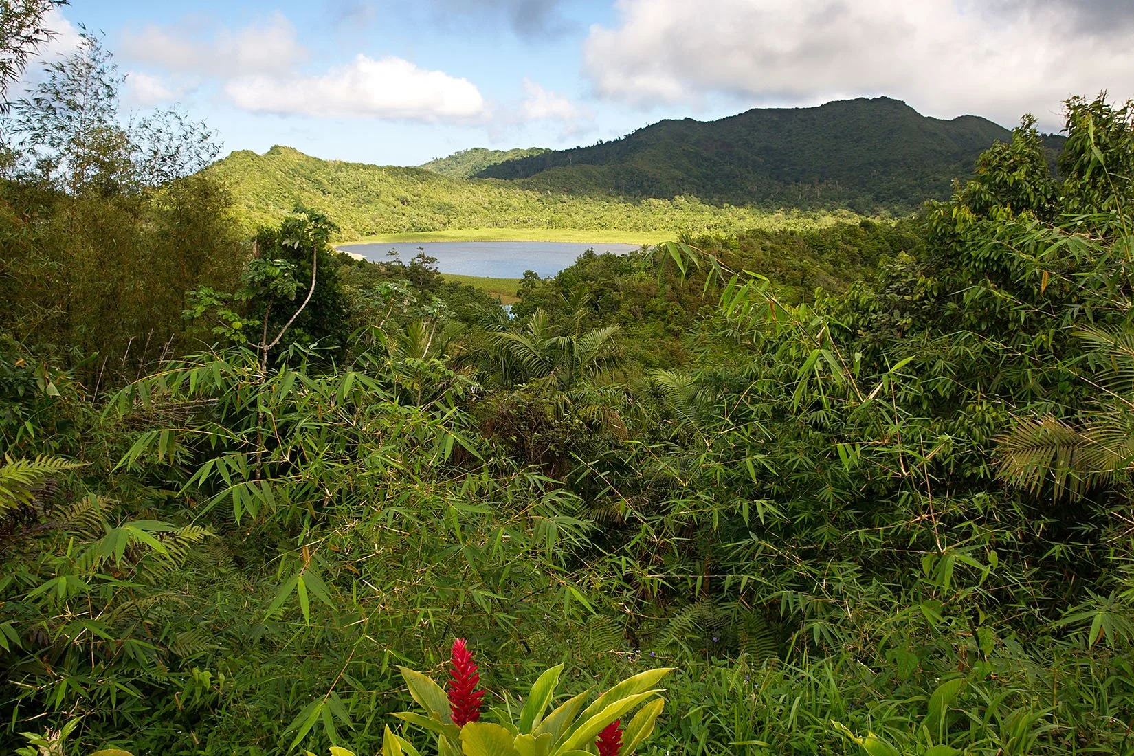 Grenada_-Grand_Etang_Lake_EDITED.jpg